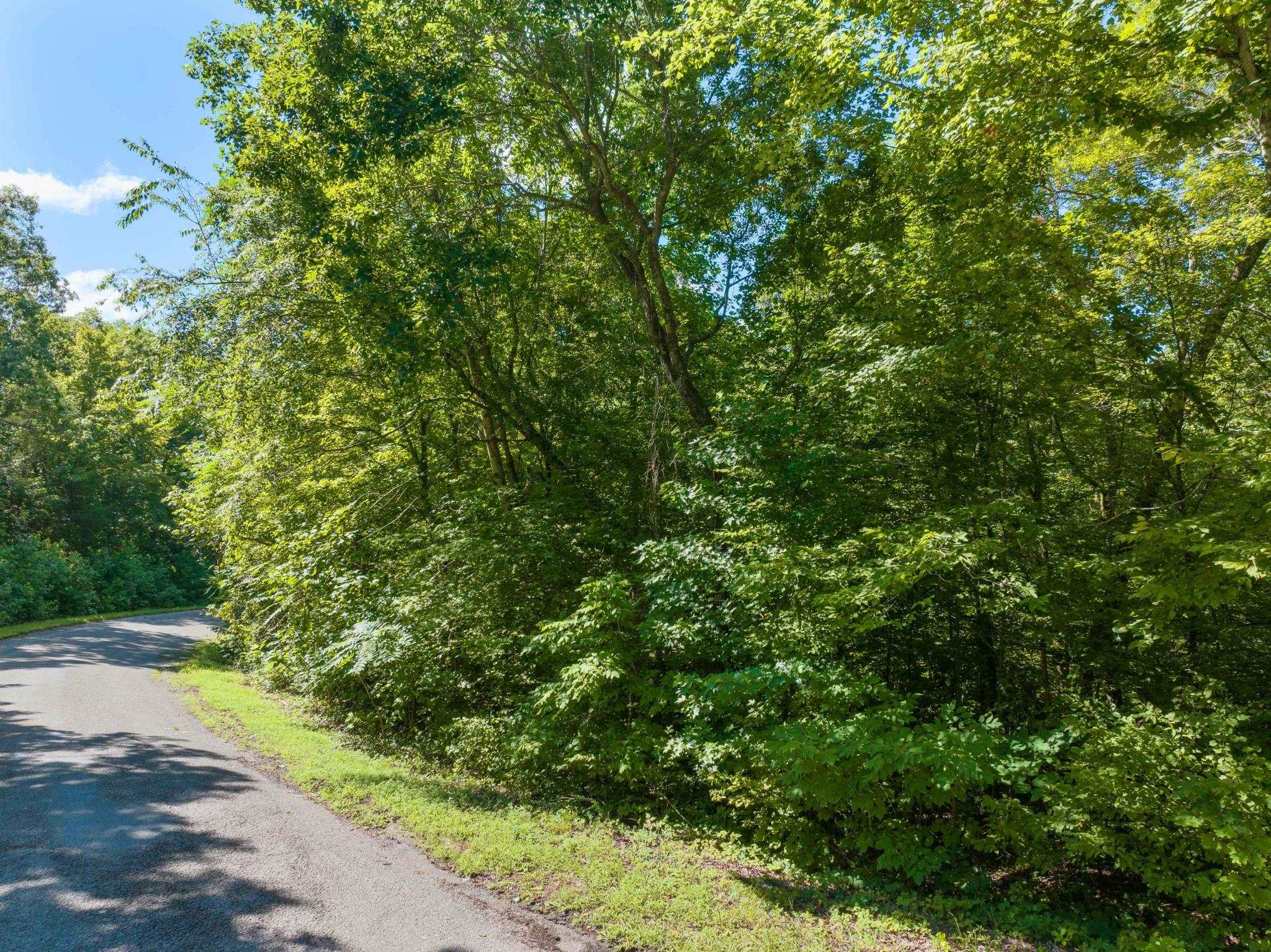 View of road