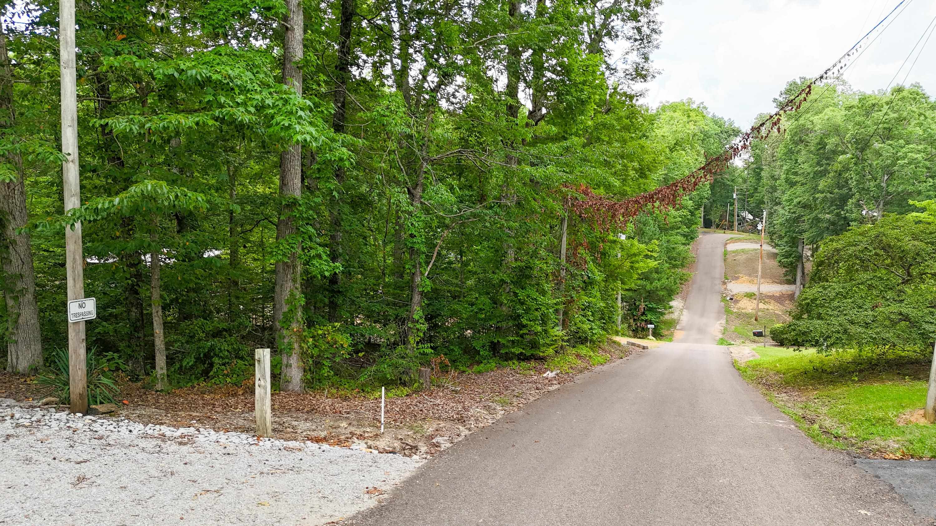 View of road