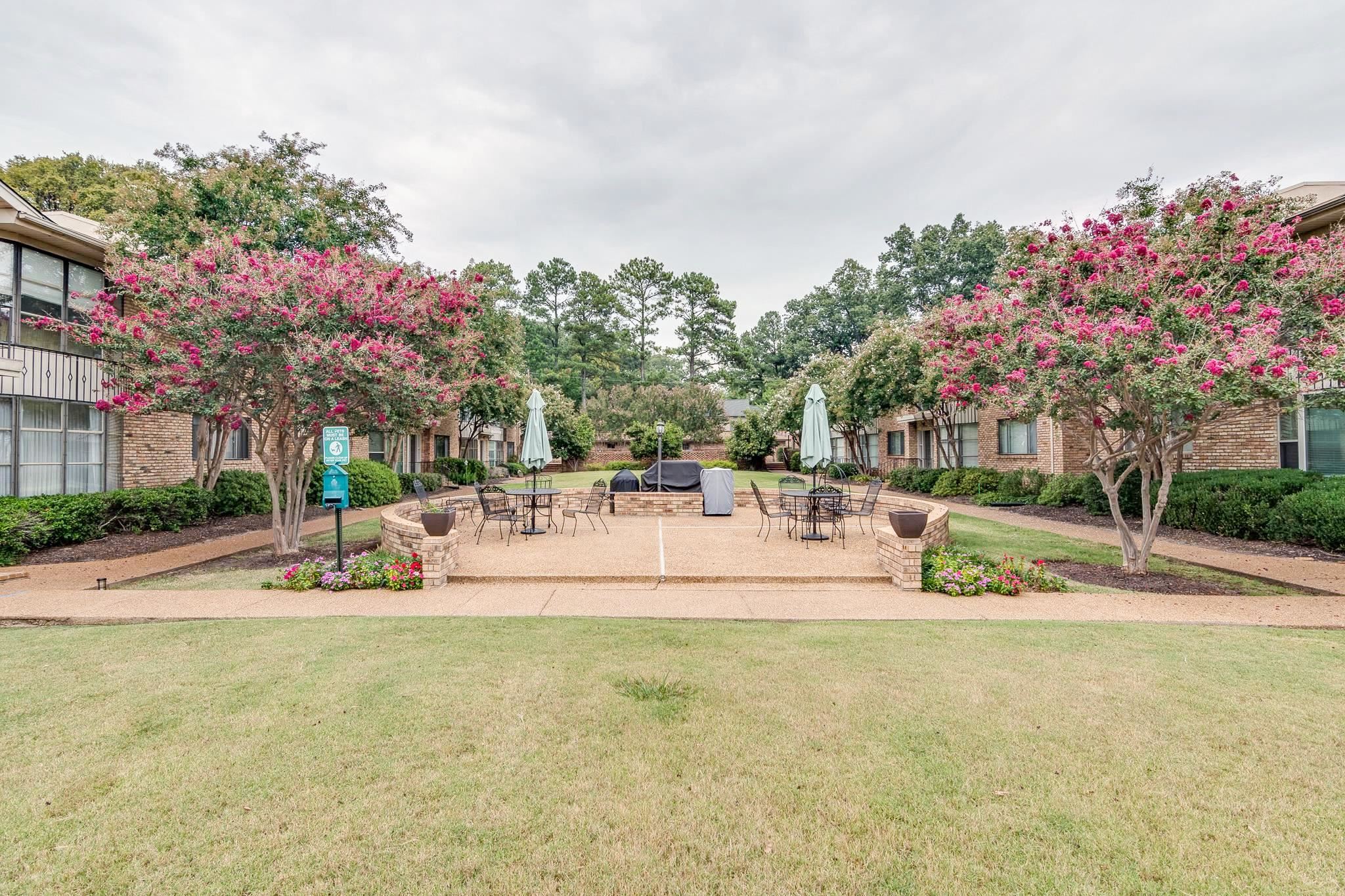 View of community with a yard and a patio area