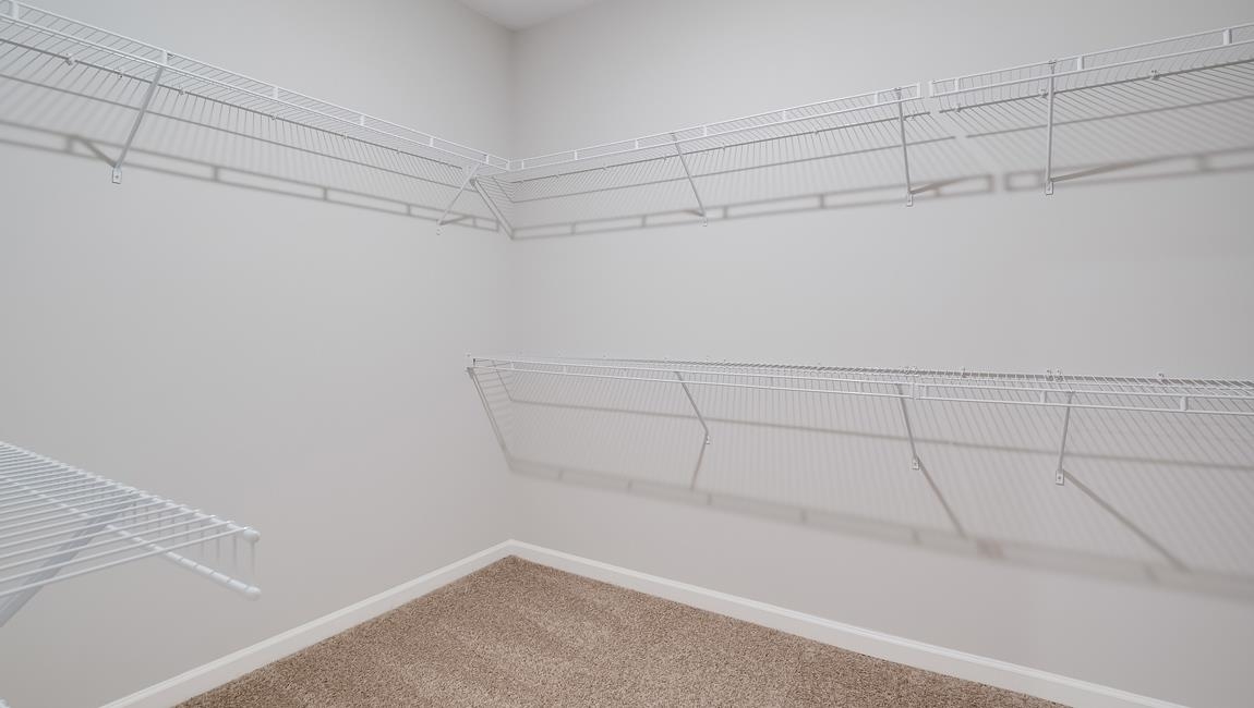 Walk in closet featuring carpet flooring