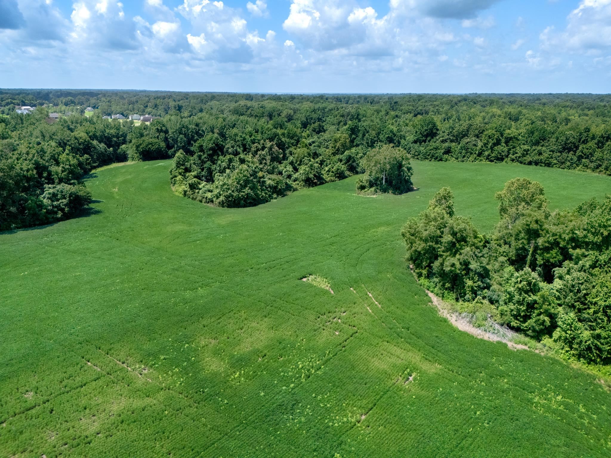 Drone / aerial view with a rural view
