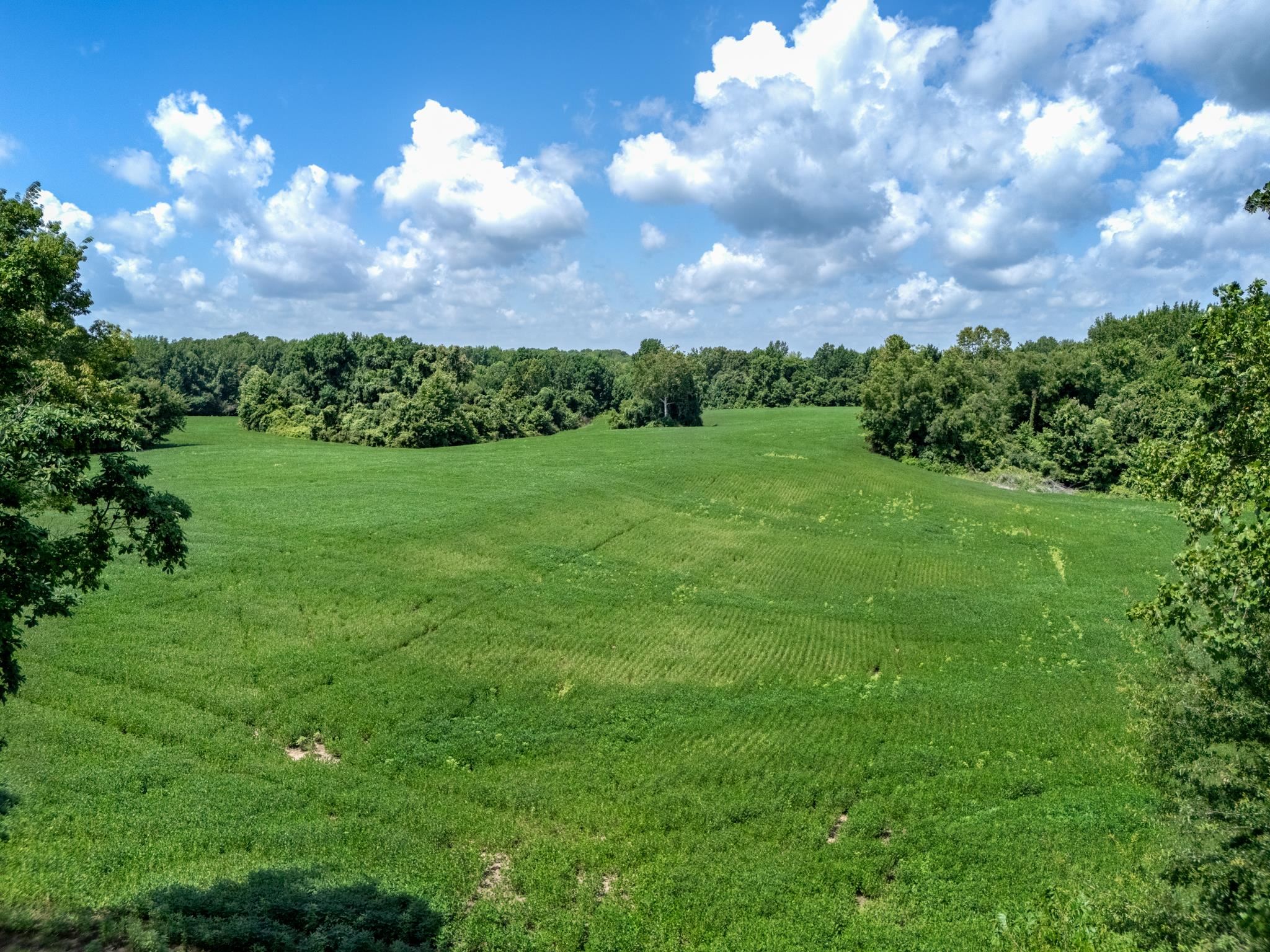 View of nature