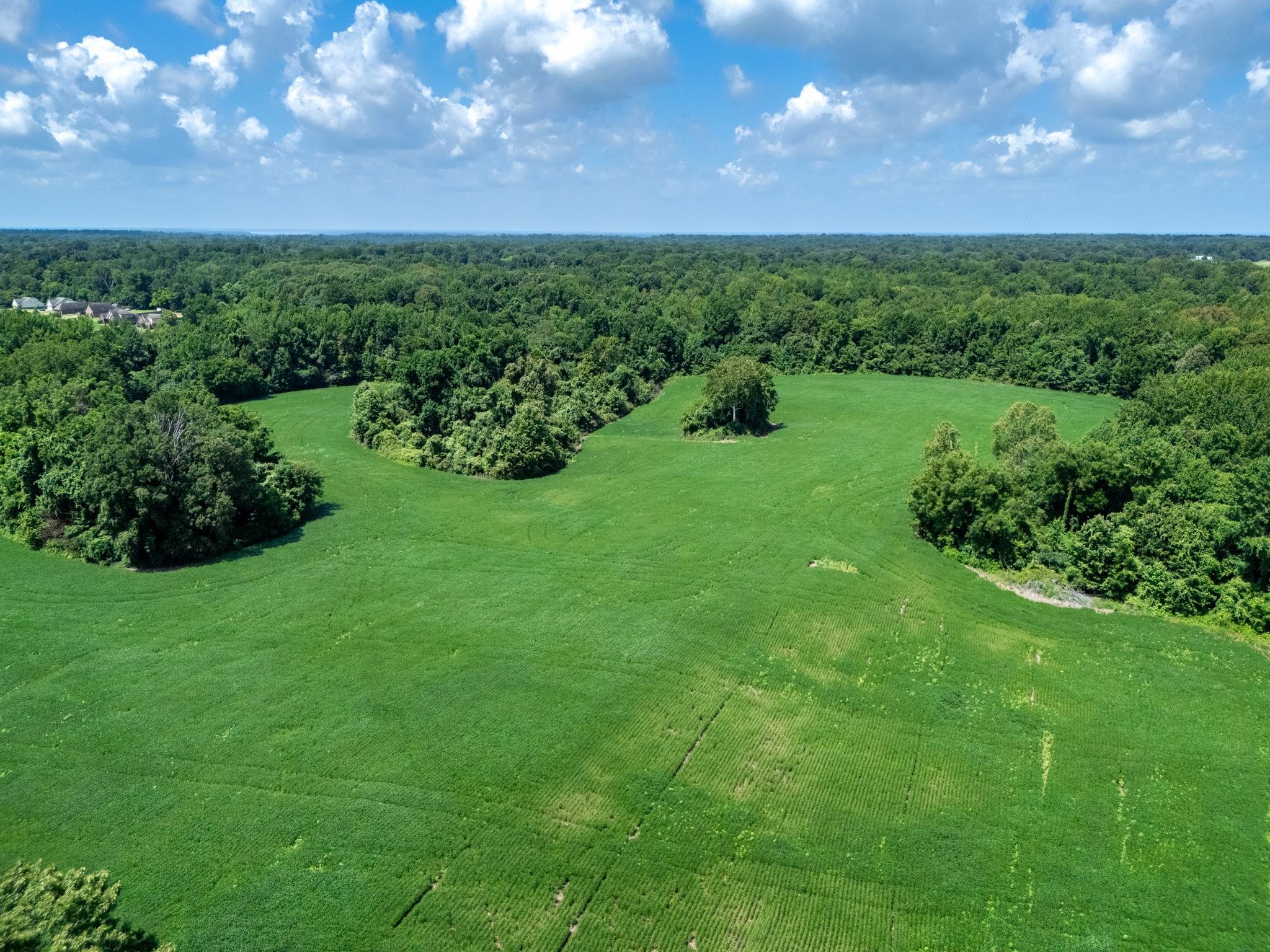 Drone / aerial view with a rural view