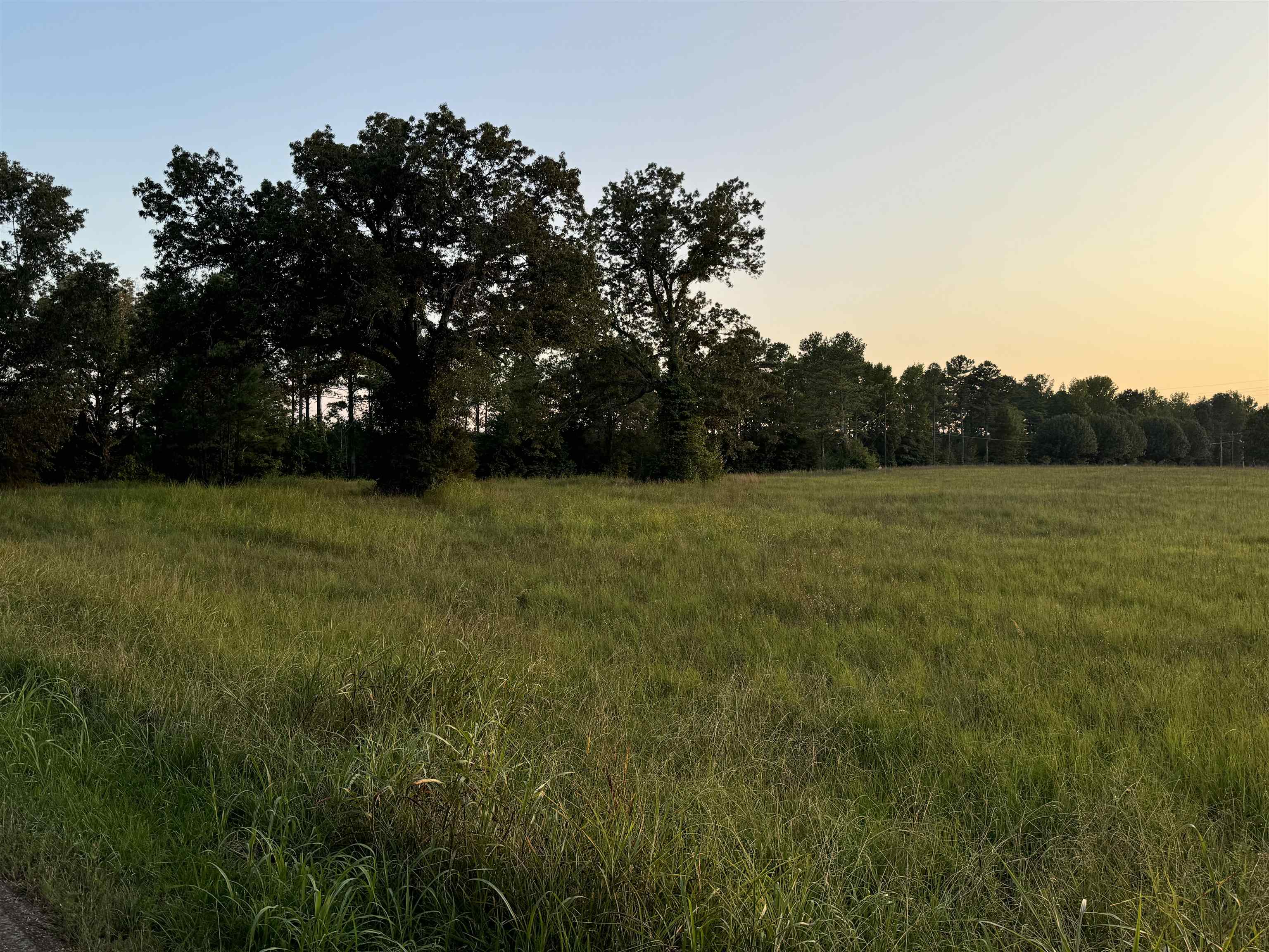 View of nature at dusk