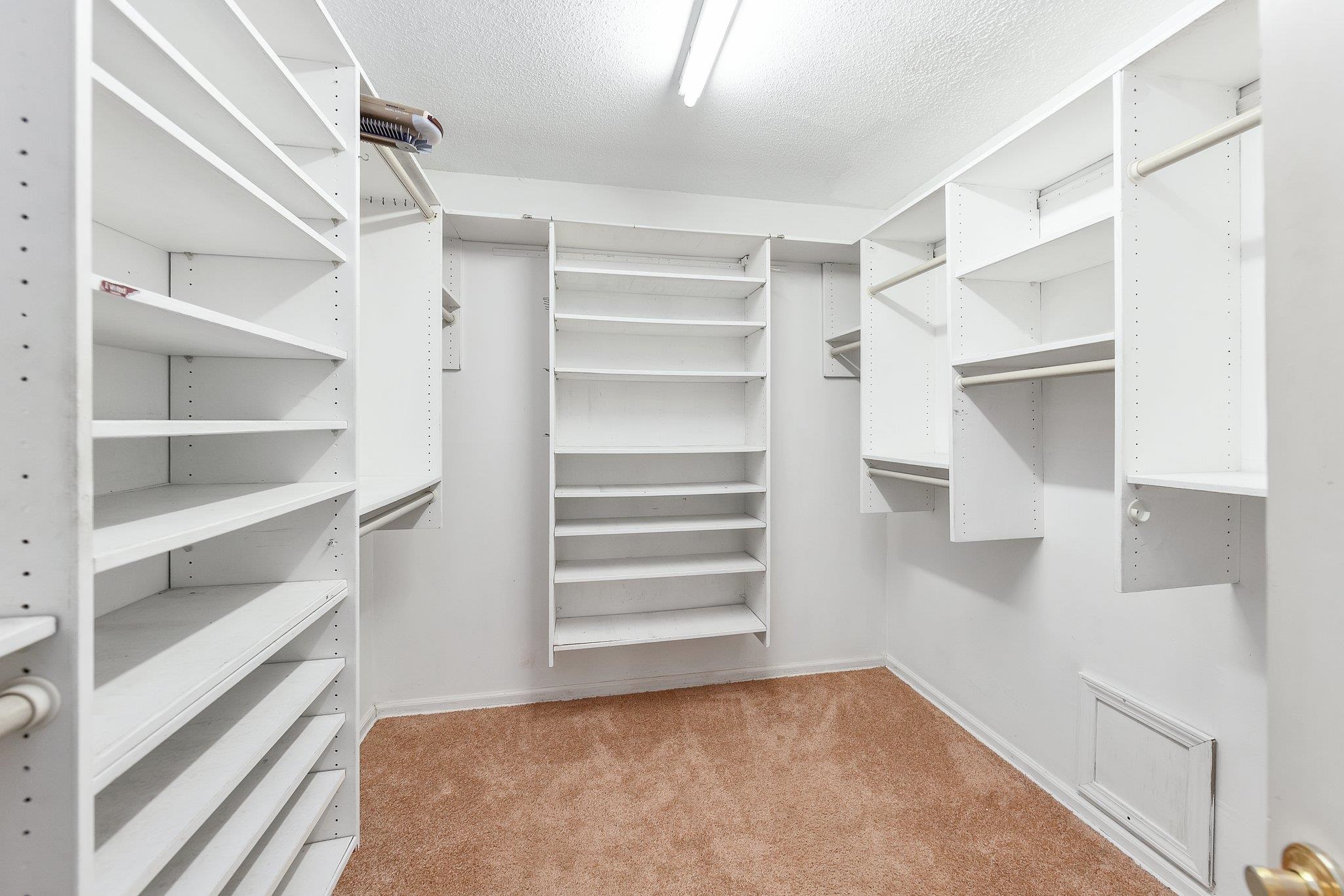 Walk in closet featuring light colored carpet