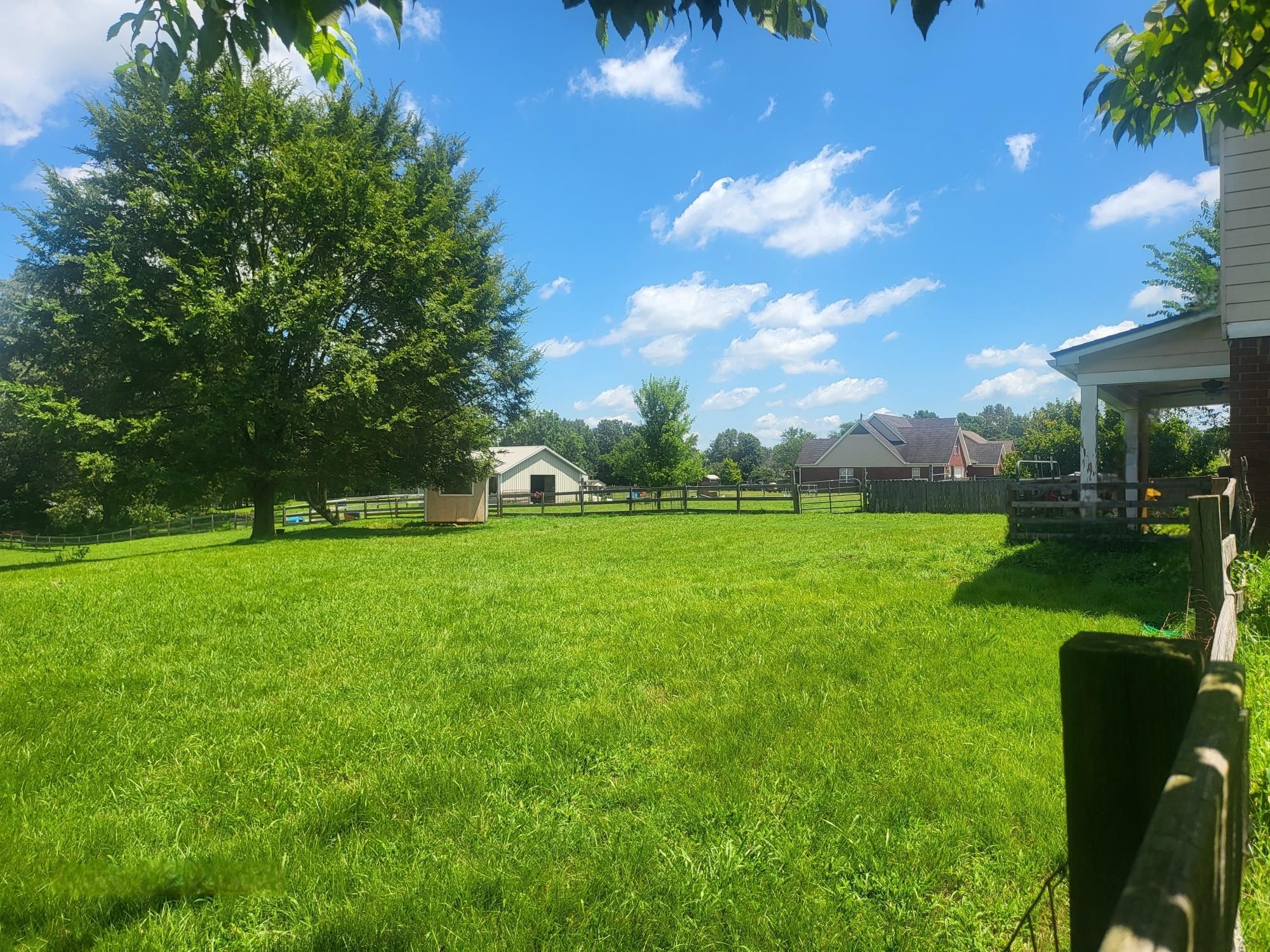 Great space for entertaining and/or raising animals.  Shed for added storage