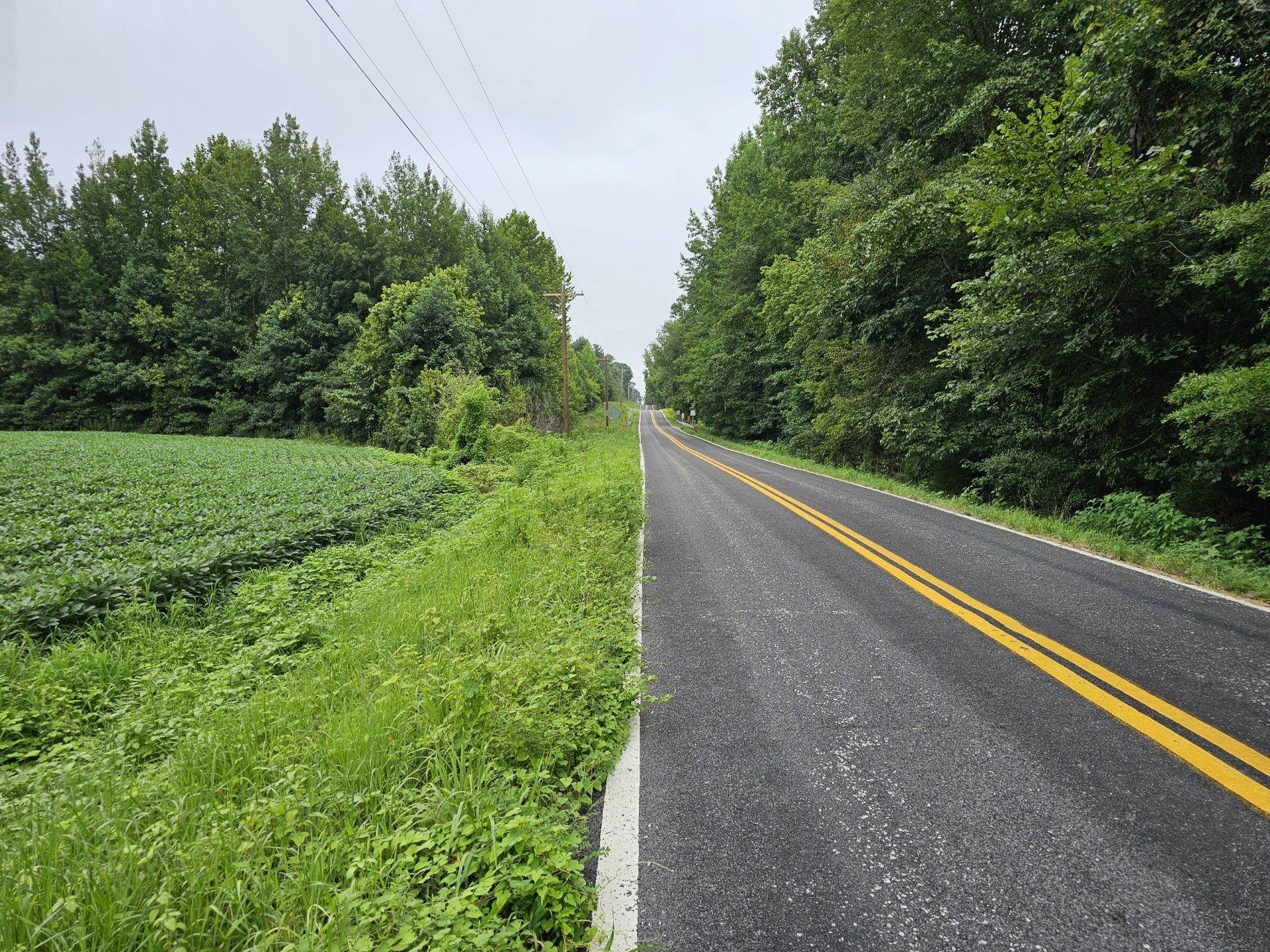 View of road