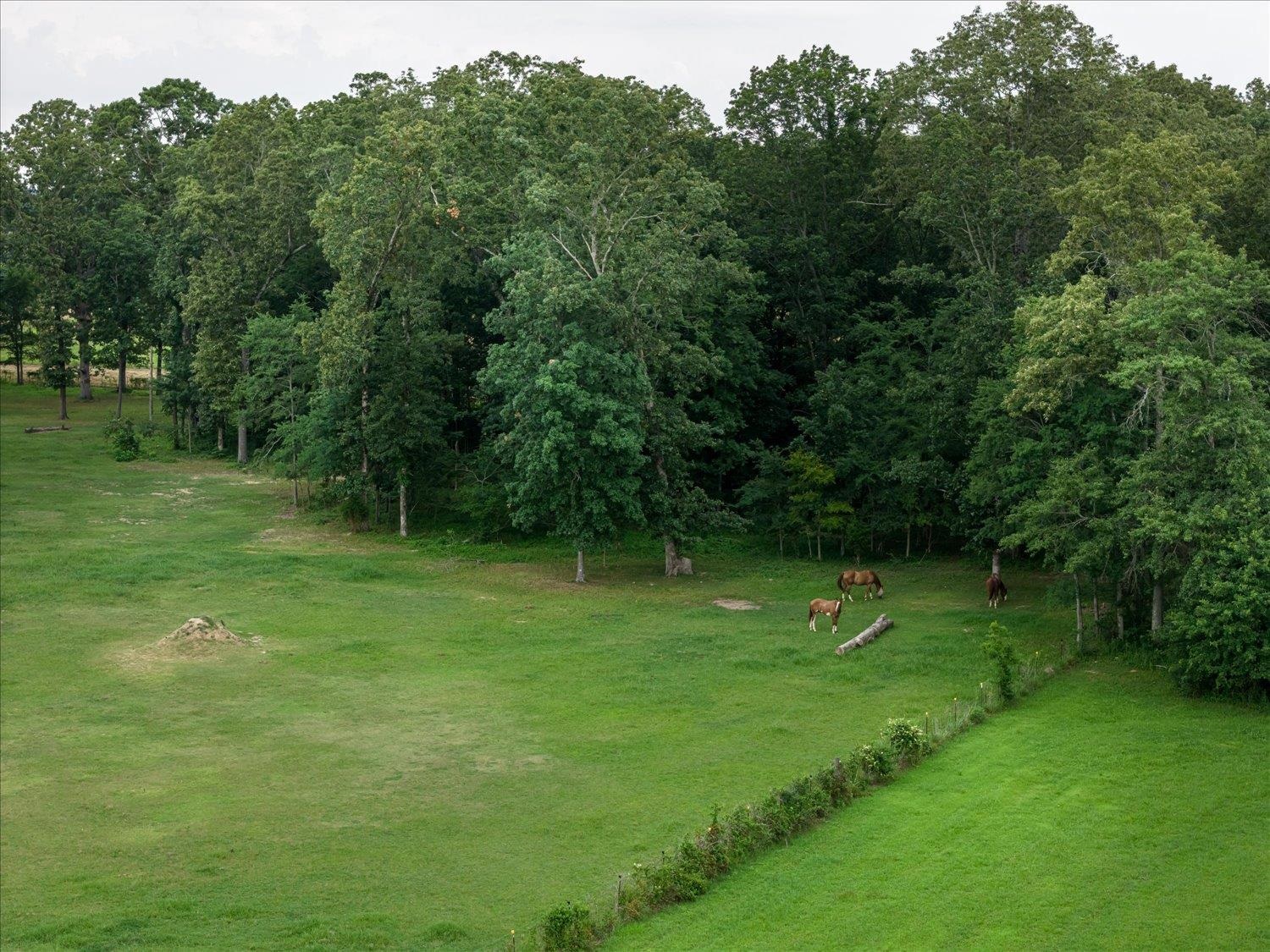 View of property\'s community with a rural view and a yard