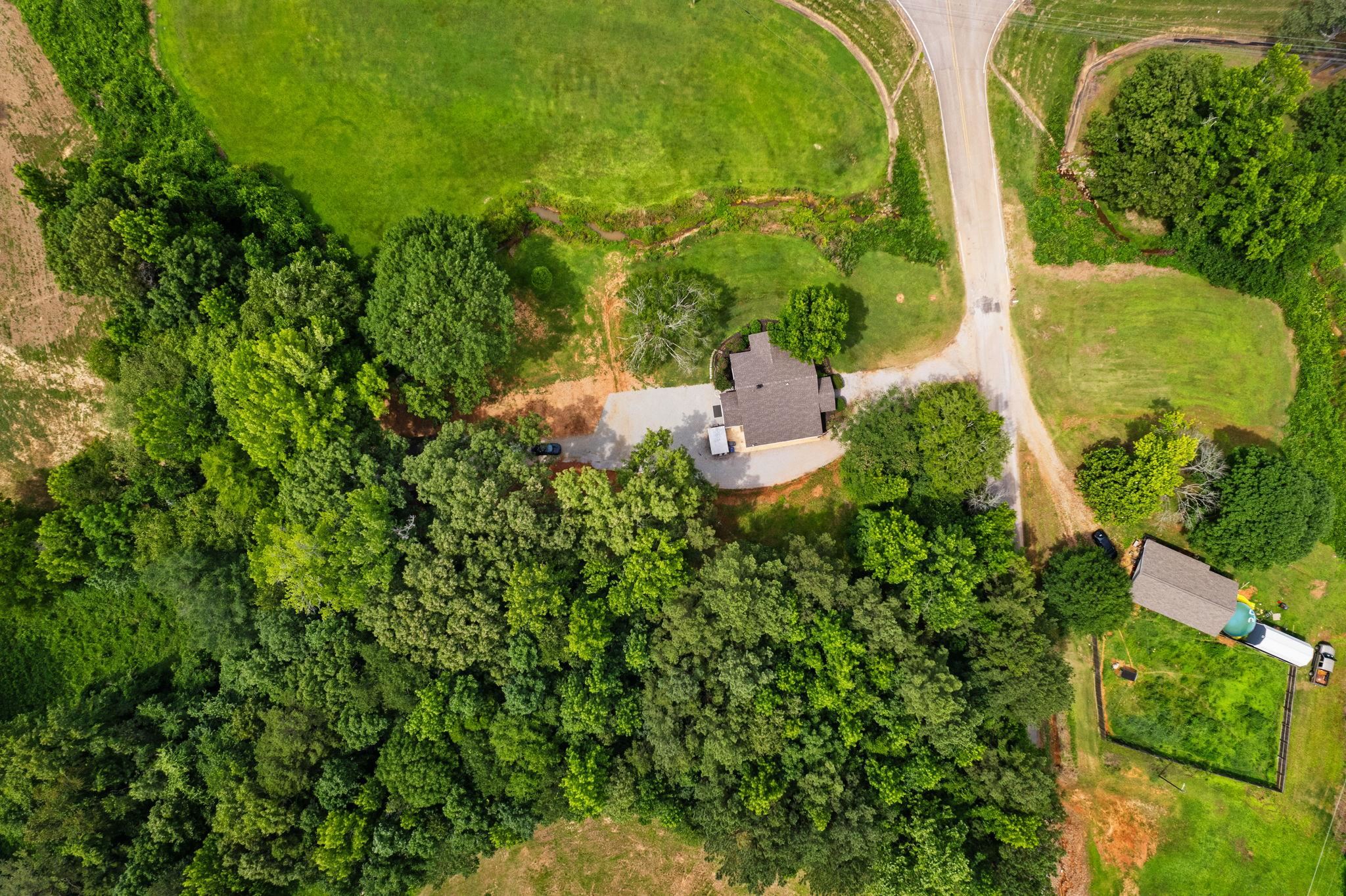 Bird\'s eye view