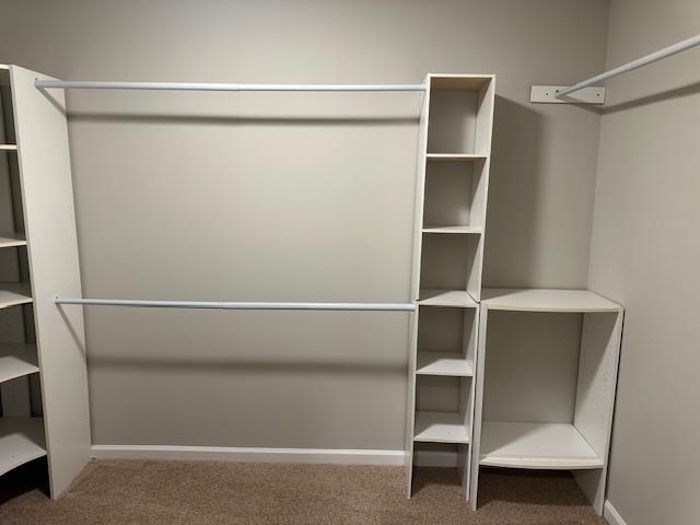 Spacious closet with carpet flooring
