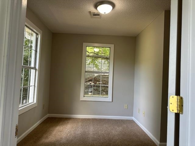 Spare room with a textured ceiling, a healthy amount of sunlight, and carpet