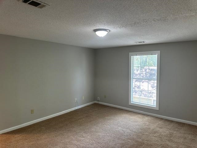 Unfurnished room featuring a wealth of natural light, carpet, and a textured ceiling