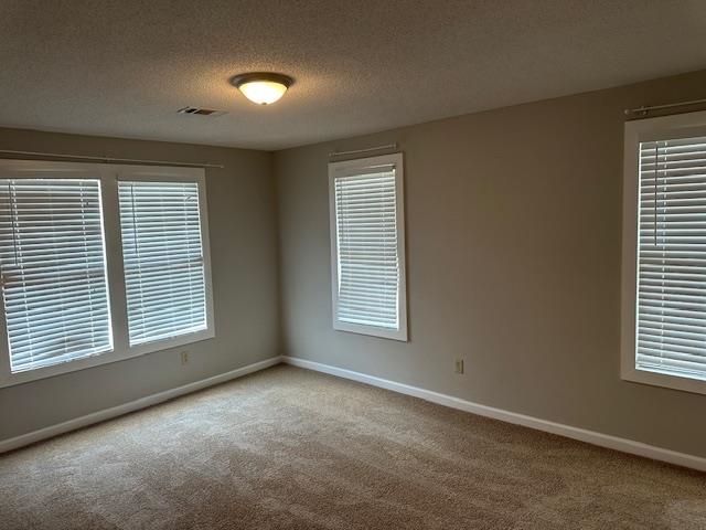 Carpeted spare room with a textured ceiling and a healthy amount of sunlight
