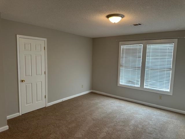 Carpeted spare room featuring a wealth of natural light and a textured ceiling