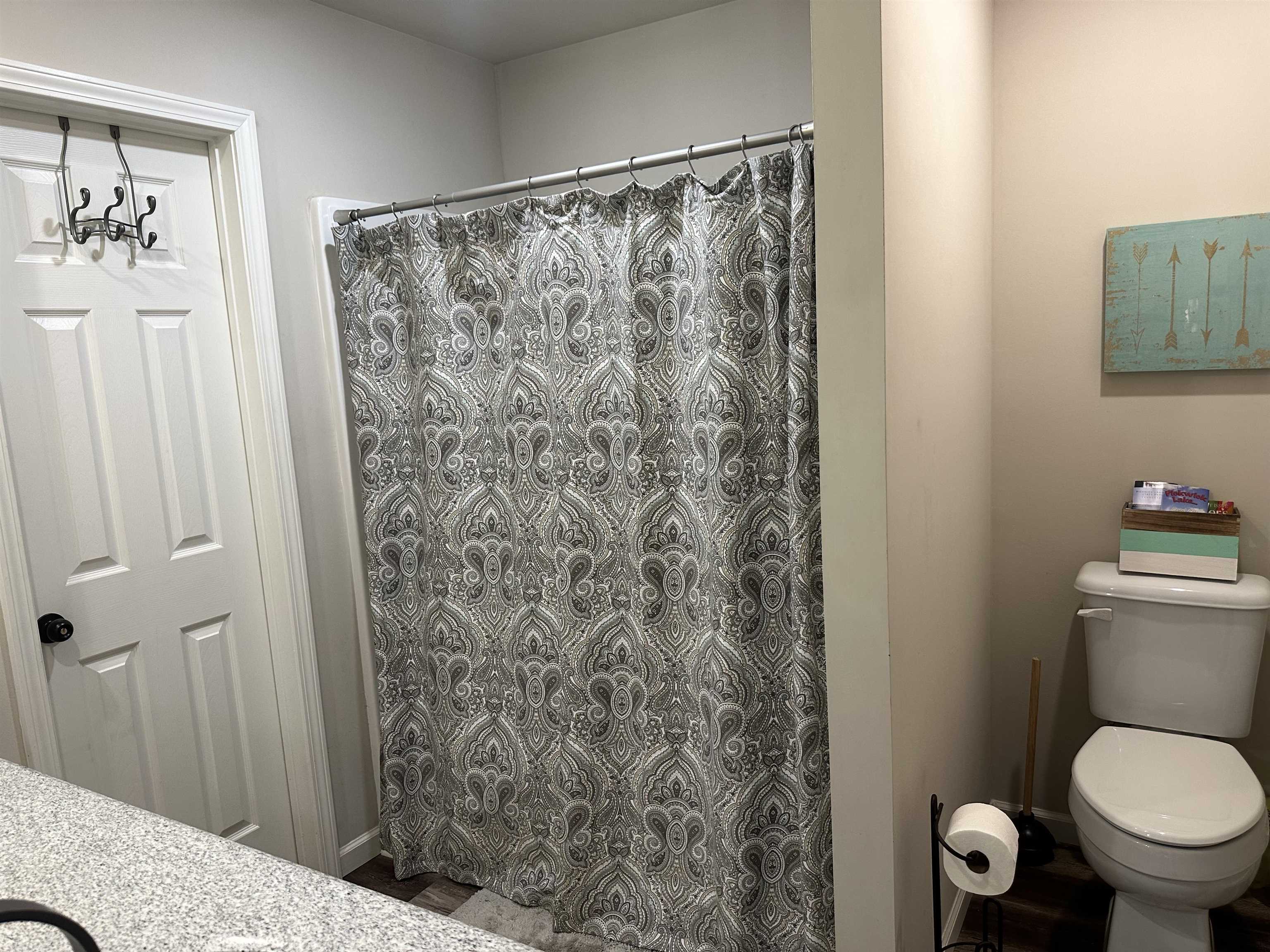 Bathroom featuring curtained shower, toilet, and vanity