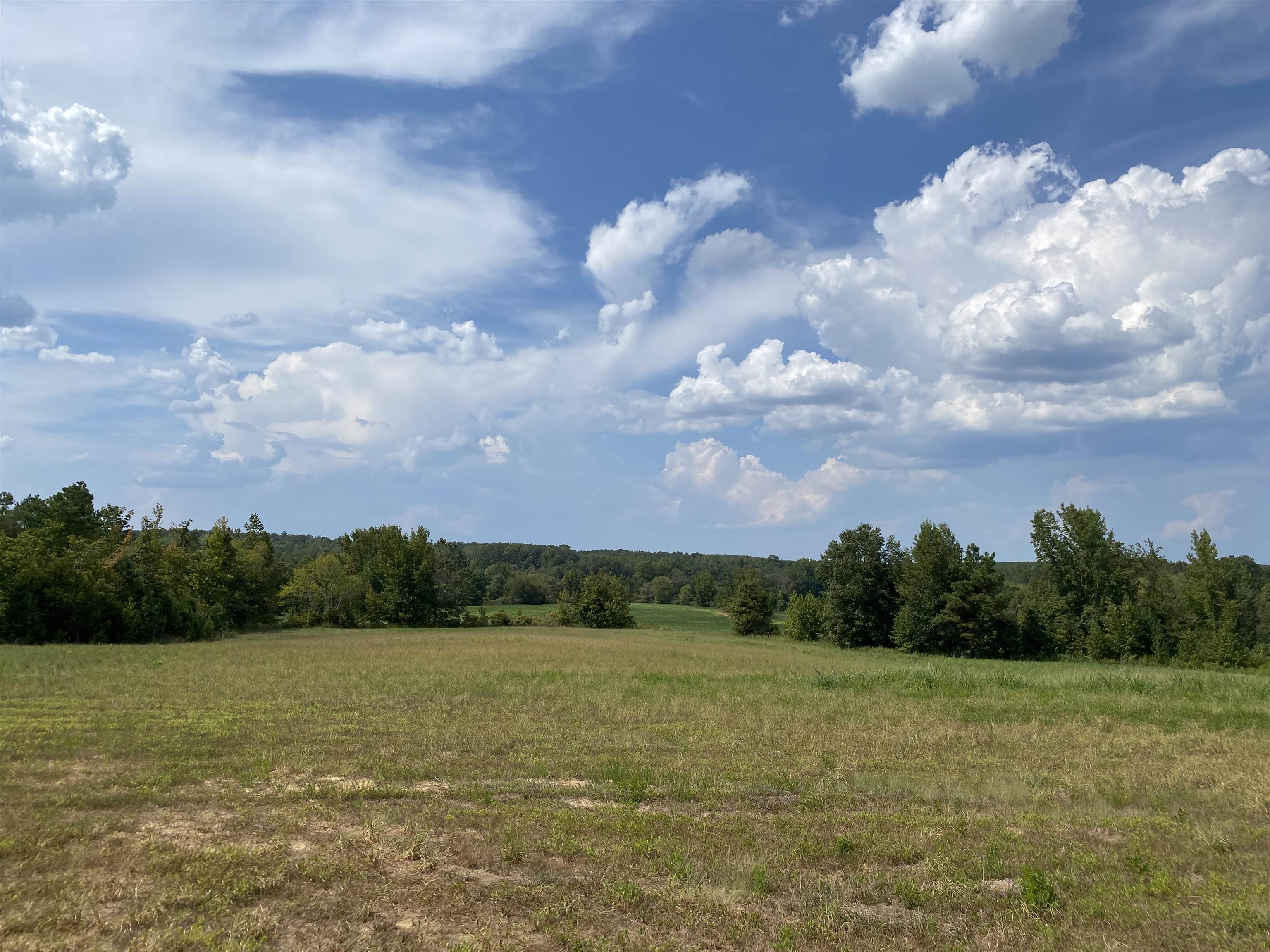 View of nature featuring a rural view