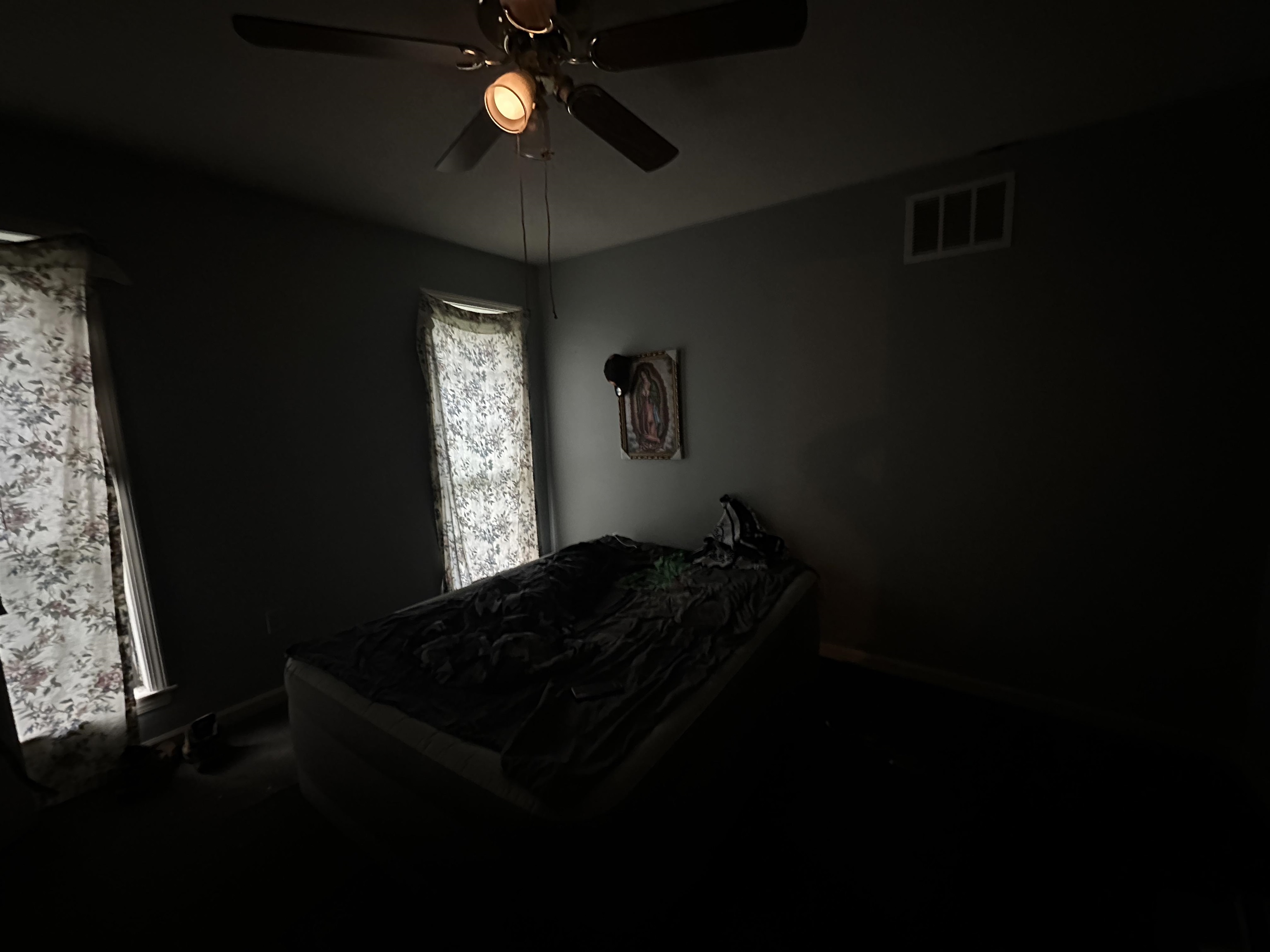 Bedroom with ceiling fan