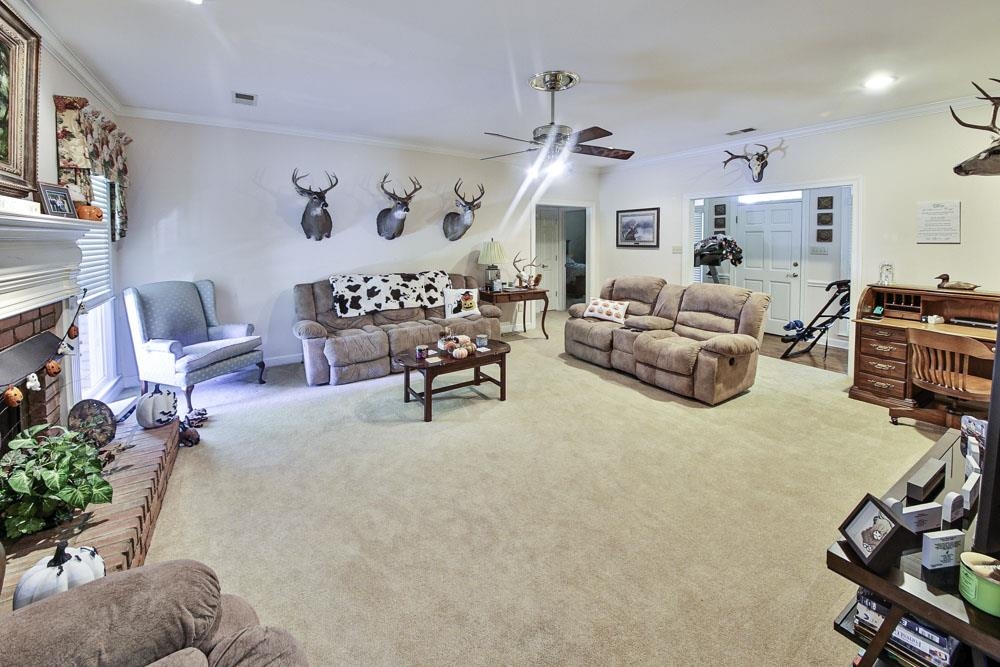 Living room featuring light colored carpet, ceiling fan, ornamental molding, and a fireplace