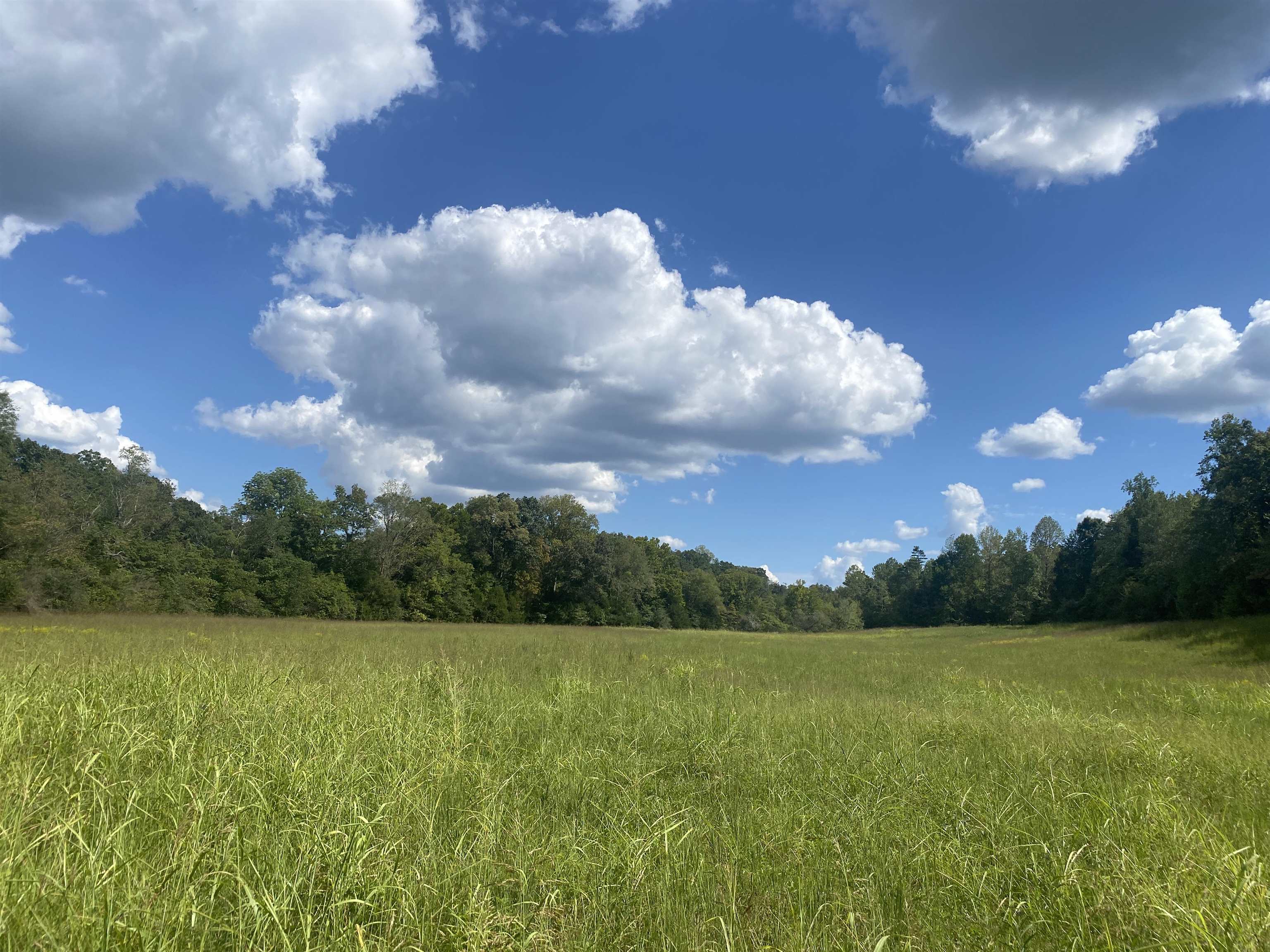 View of landscape featuring a rural view