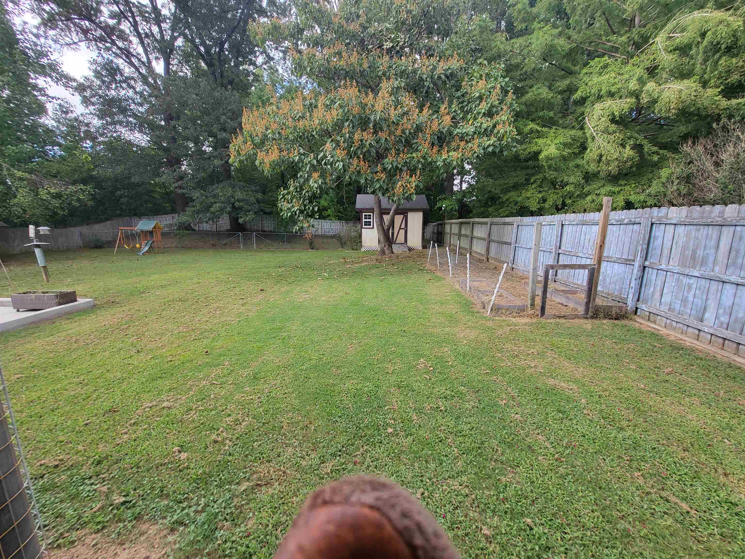 View of yard featuring a storage shed