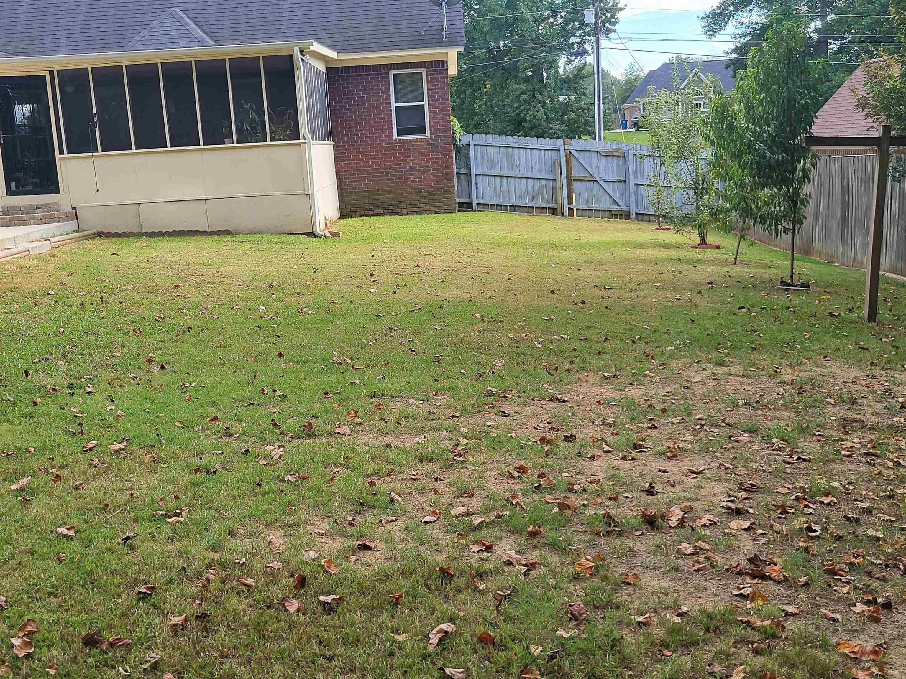View of yard featuring a sunroom