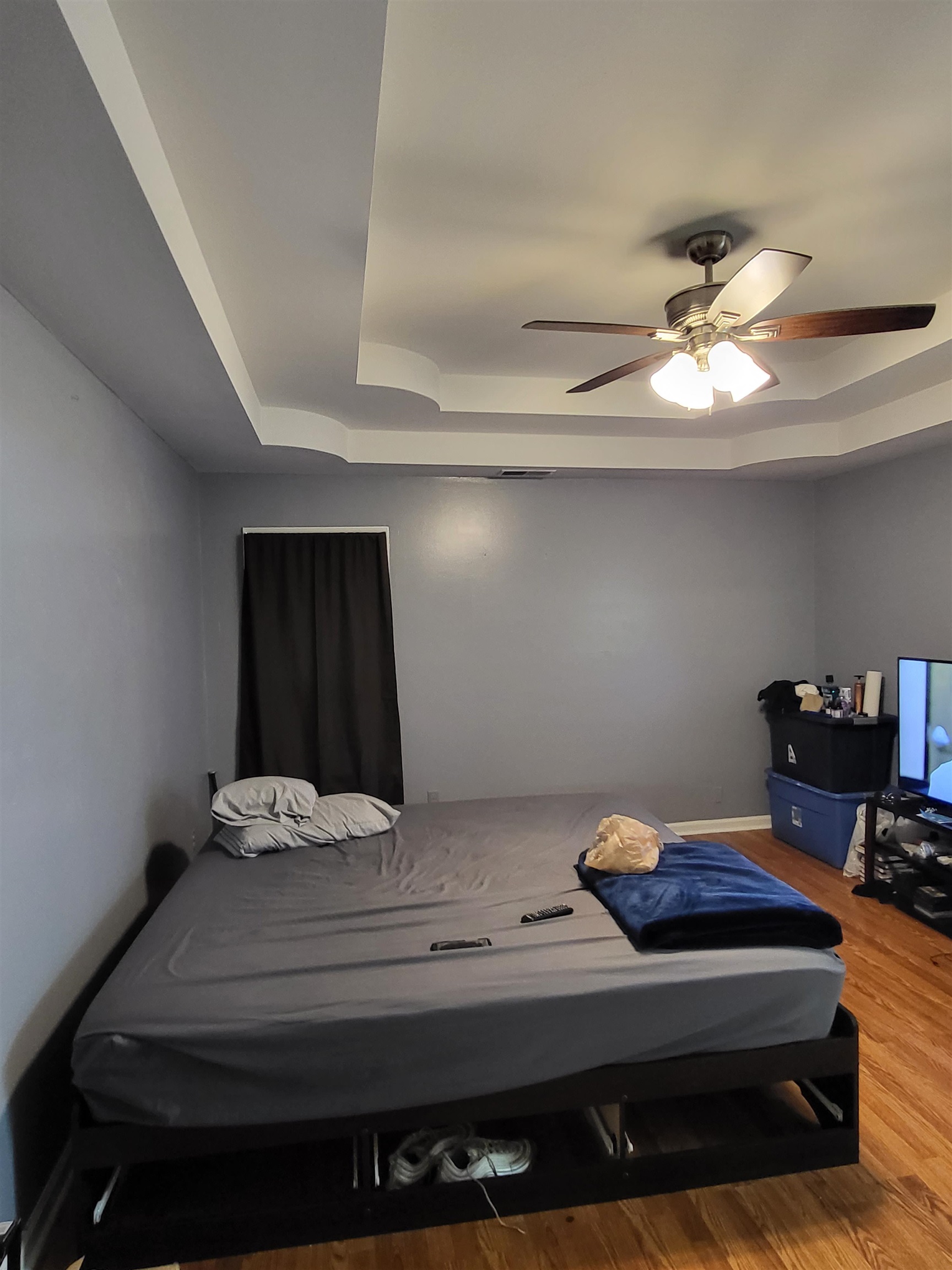 Bedroom with hardwood / wood-style floors, ceiling fan, and a raised ceiling