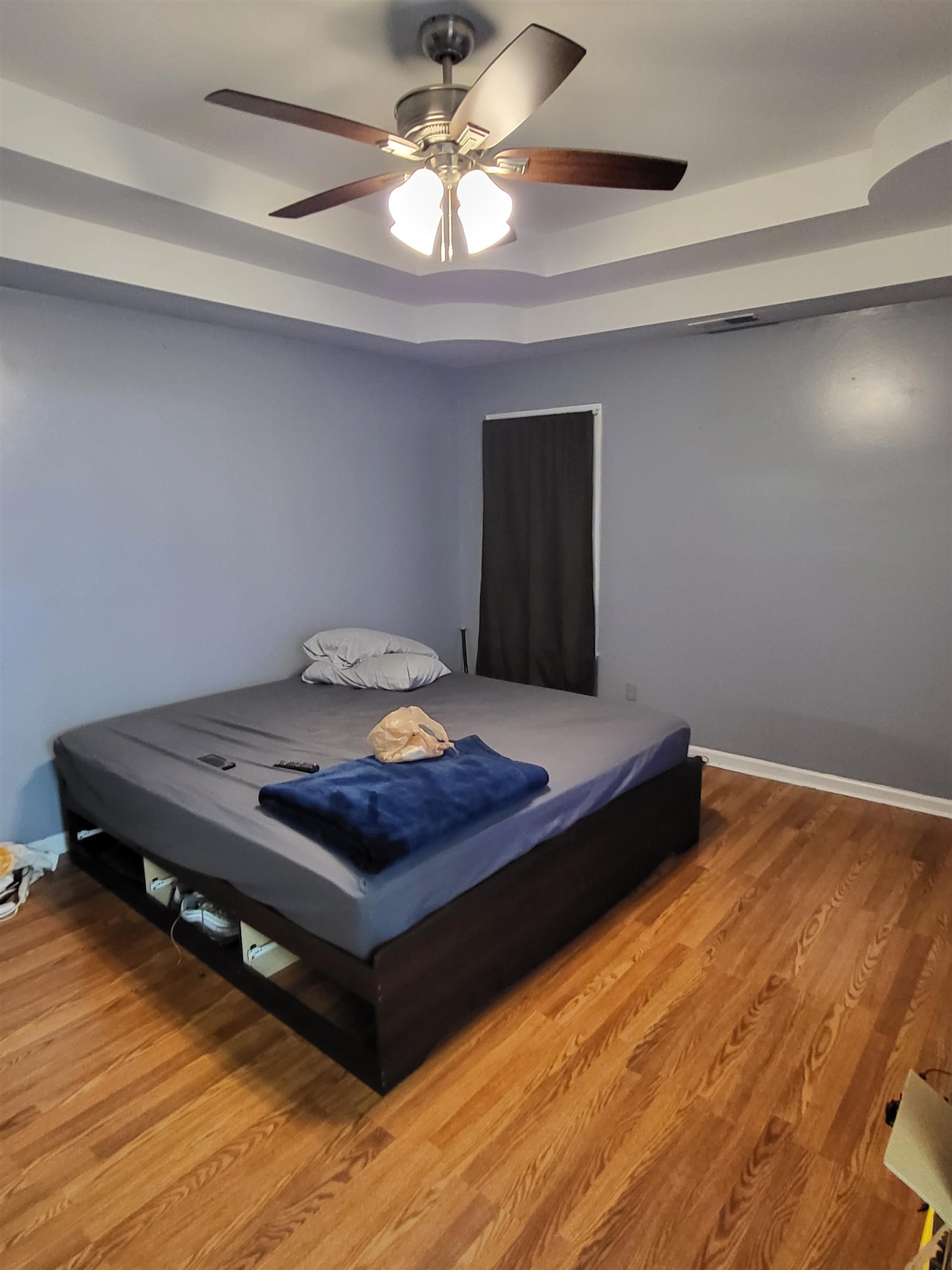 Bedroom featuring ceiling fan, hardwood / wood-style flooring, and a raised ceiling