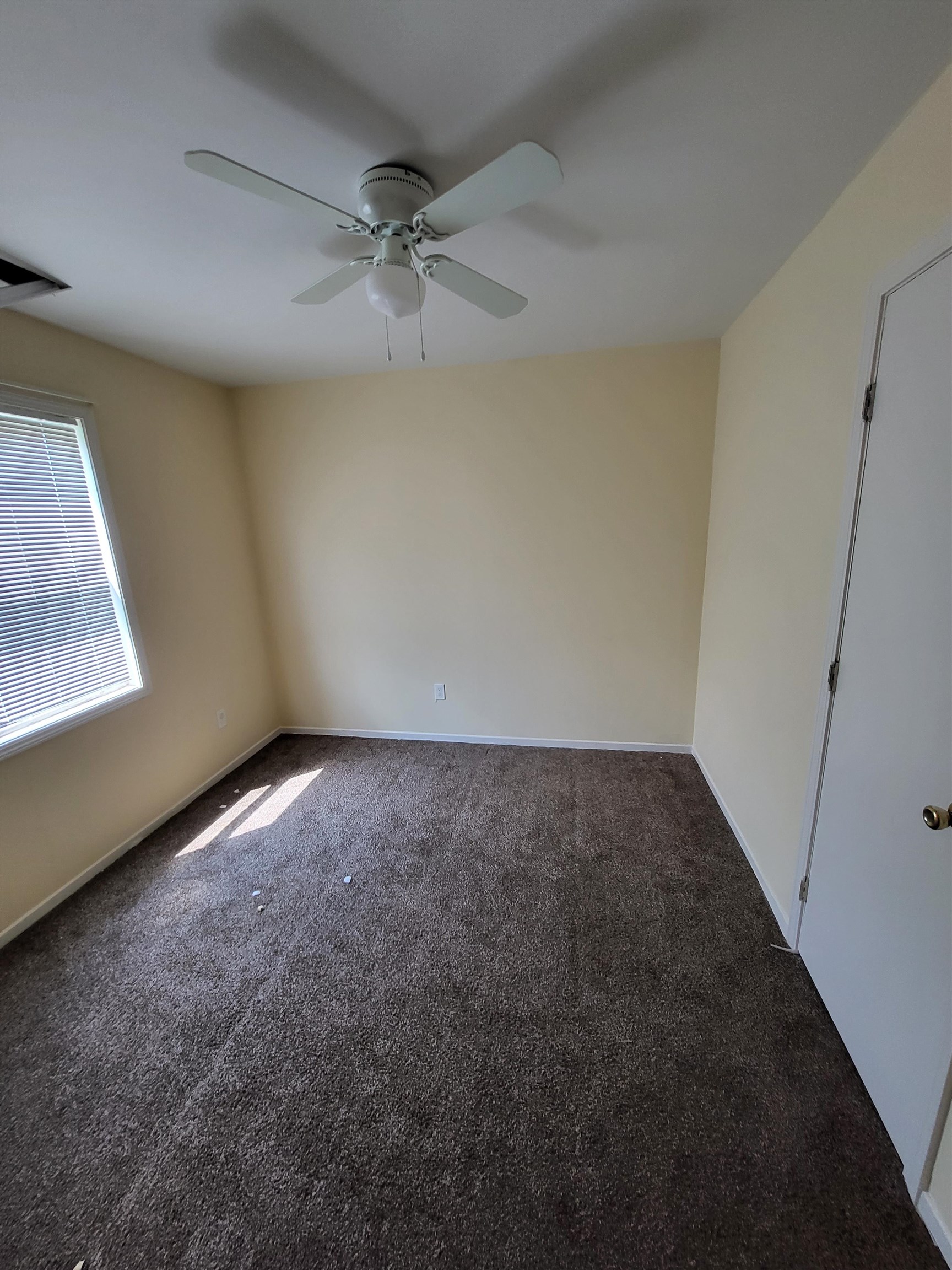 Carpeted spare room featuring ceiling fan