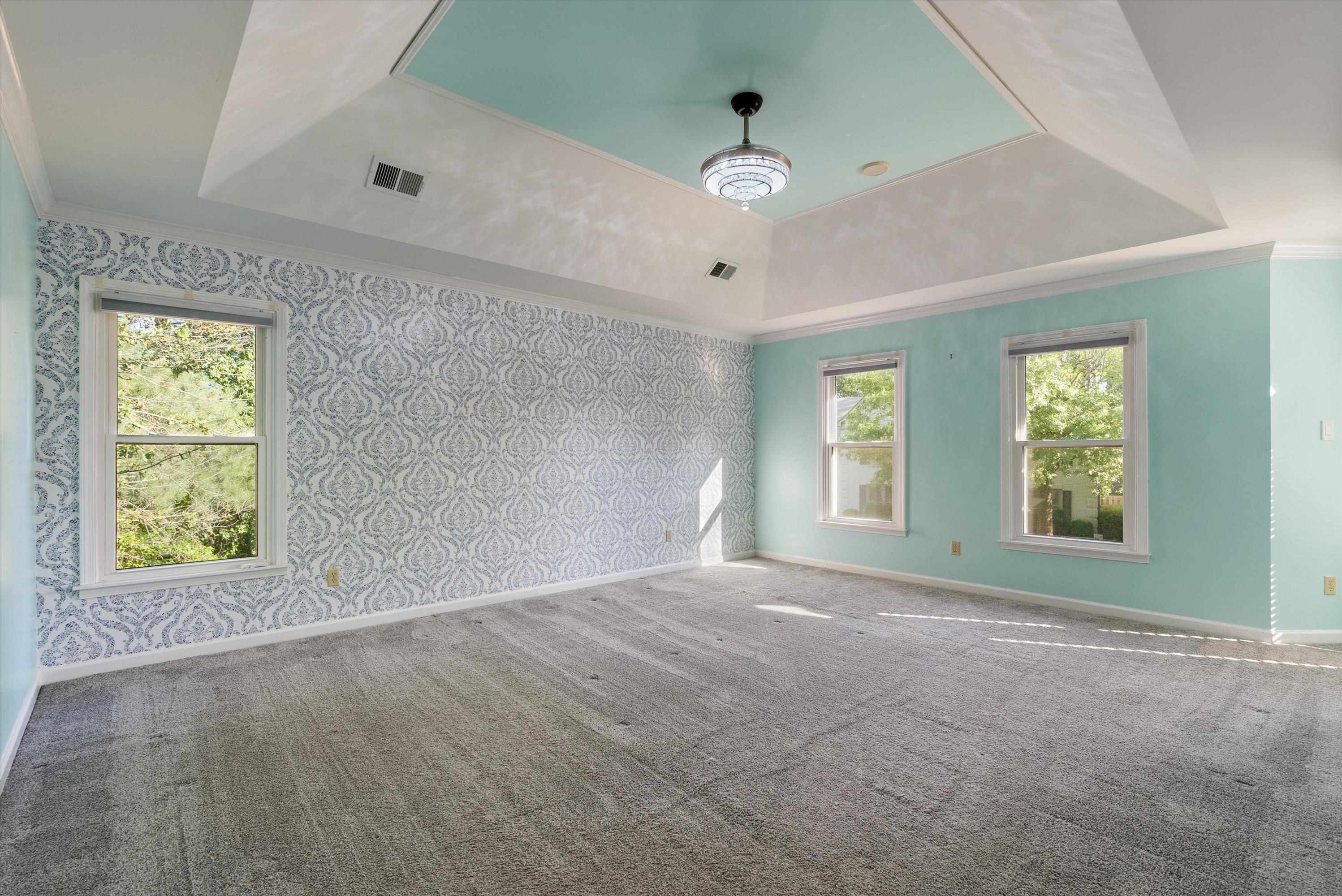 Empty room featuring a wealth of natural light, a raised ceiling, and carpet floors