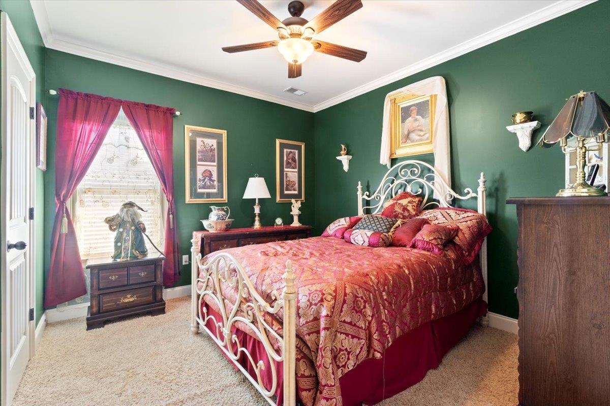 Carpeted bedroom with ceiling fan and crown molding