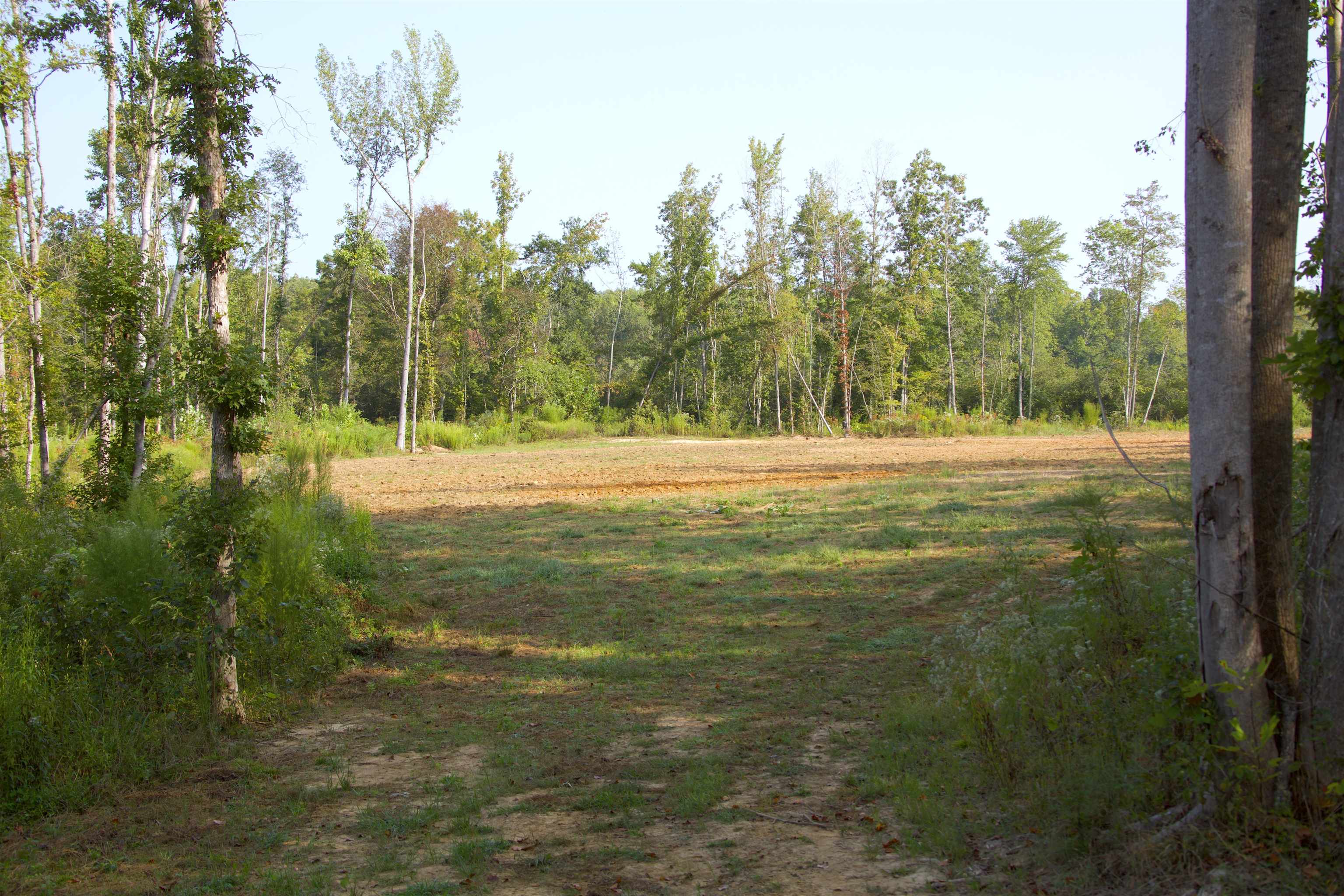 View of landscape