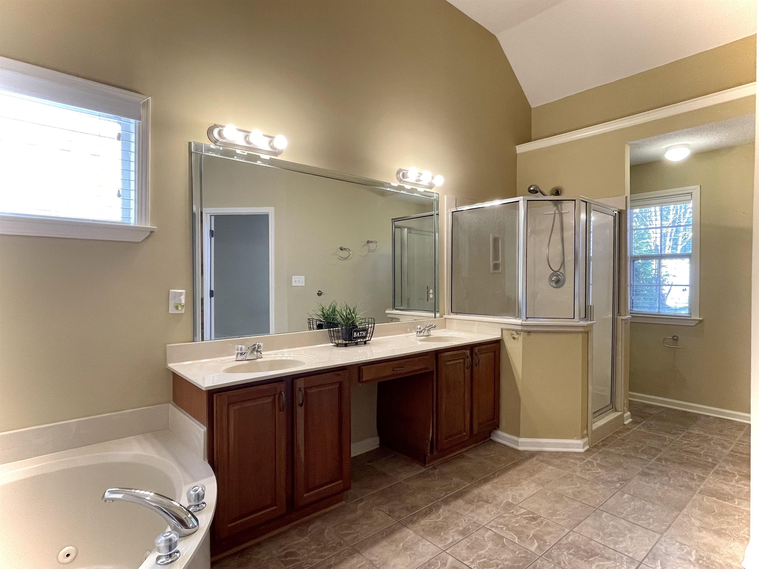 Bathroom featuring lofted ceiling, plus walk in shower, and plenty of natural light