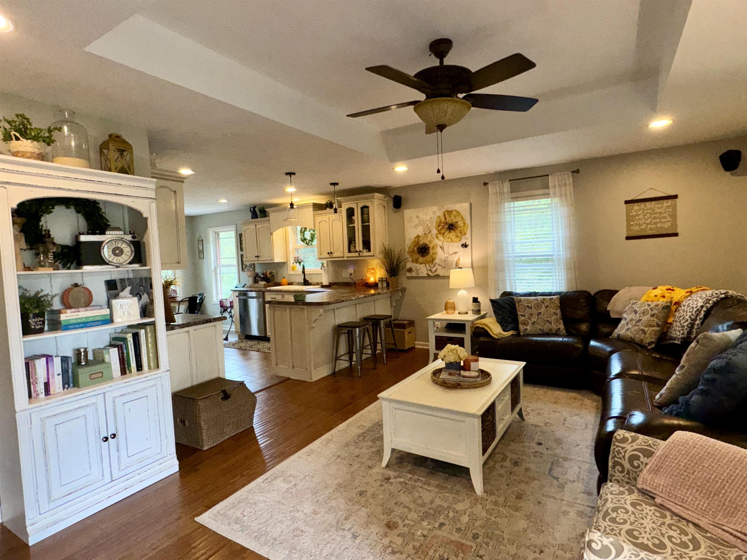 Living room with ceiling fan, sink, a raised ceiling, and dark hardwood / wood-style flooring