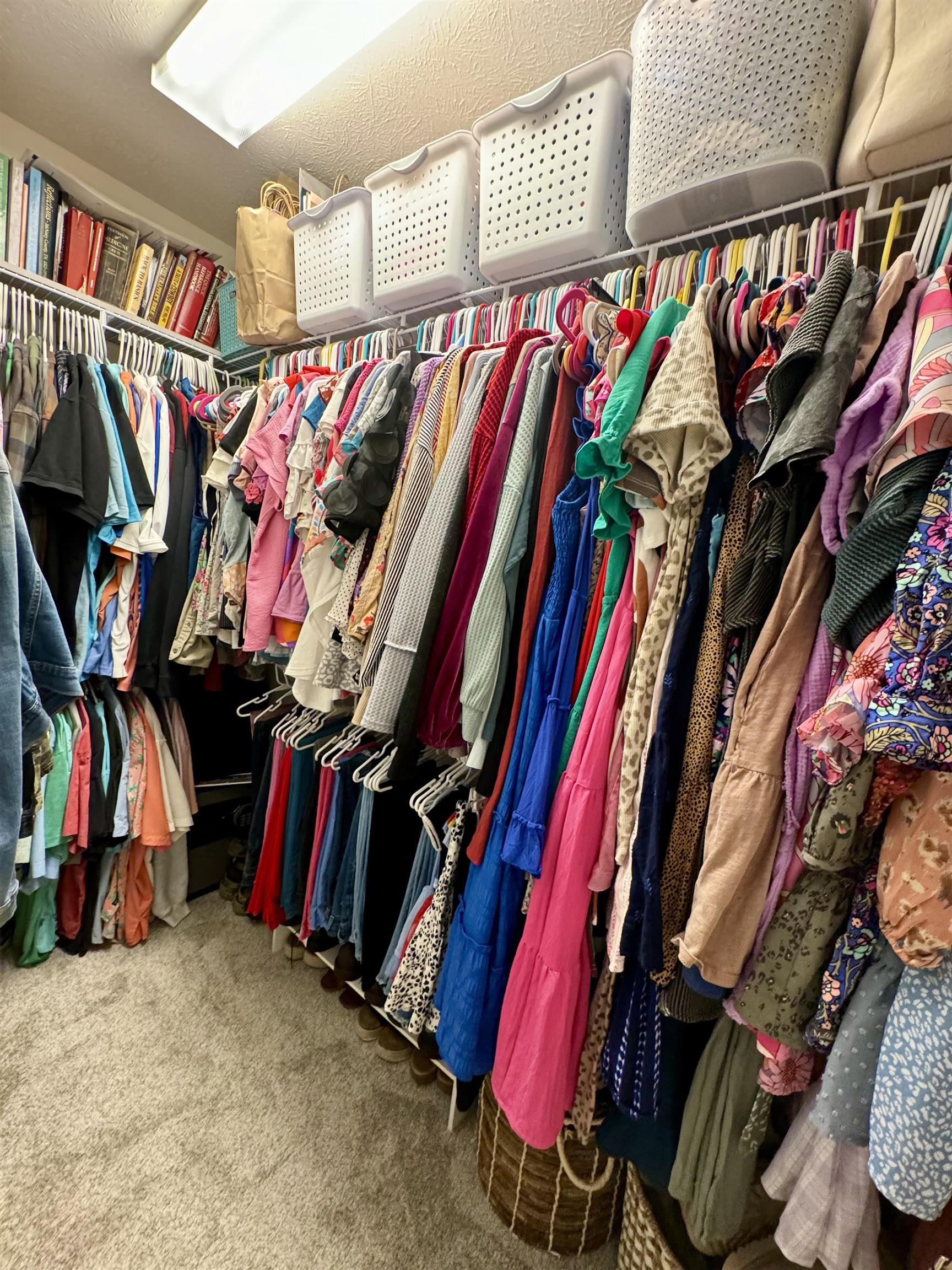 Spacious closet featuring carpet