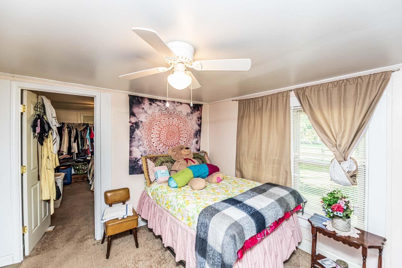 Carpeted bedroom with a closet and ceiling fan