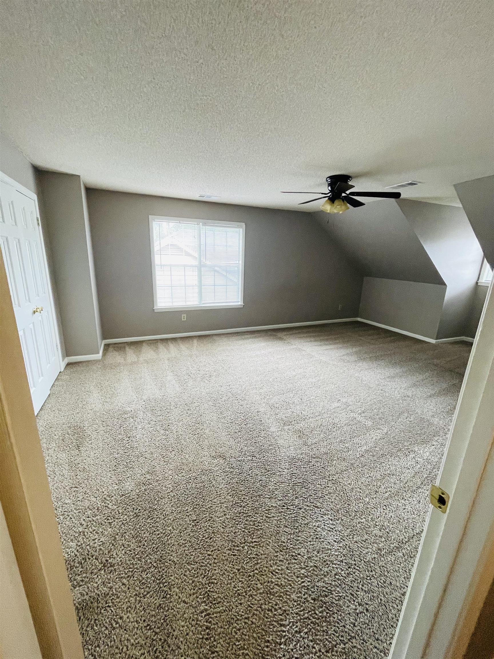 Additional living space with light carpet, lofted ceiling, ceiling fan, and a textured ceiling