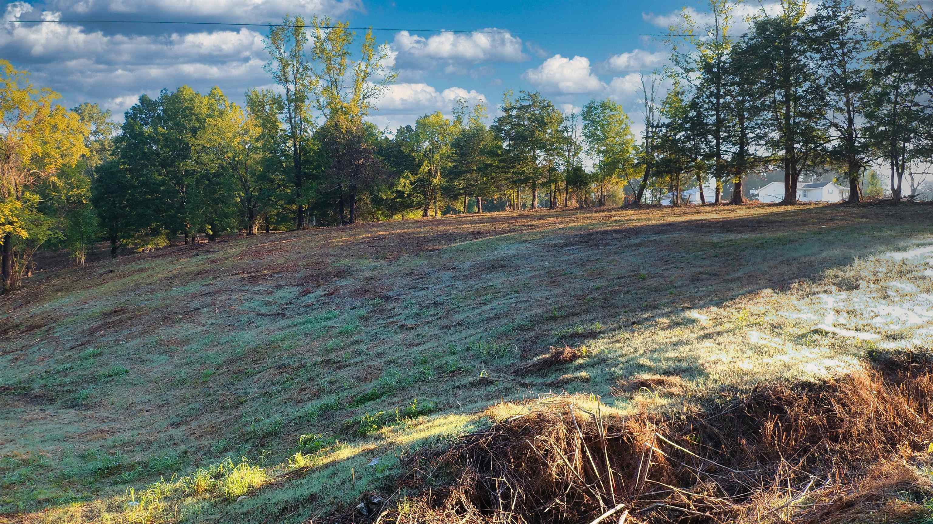 Wildflower Ridge, Savannah, Tennessee image 5