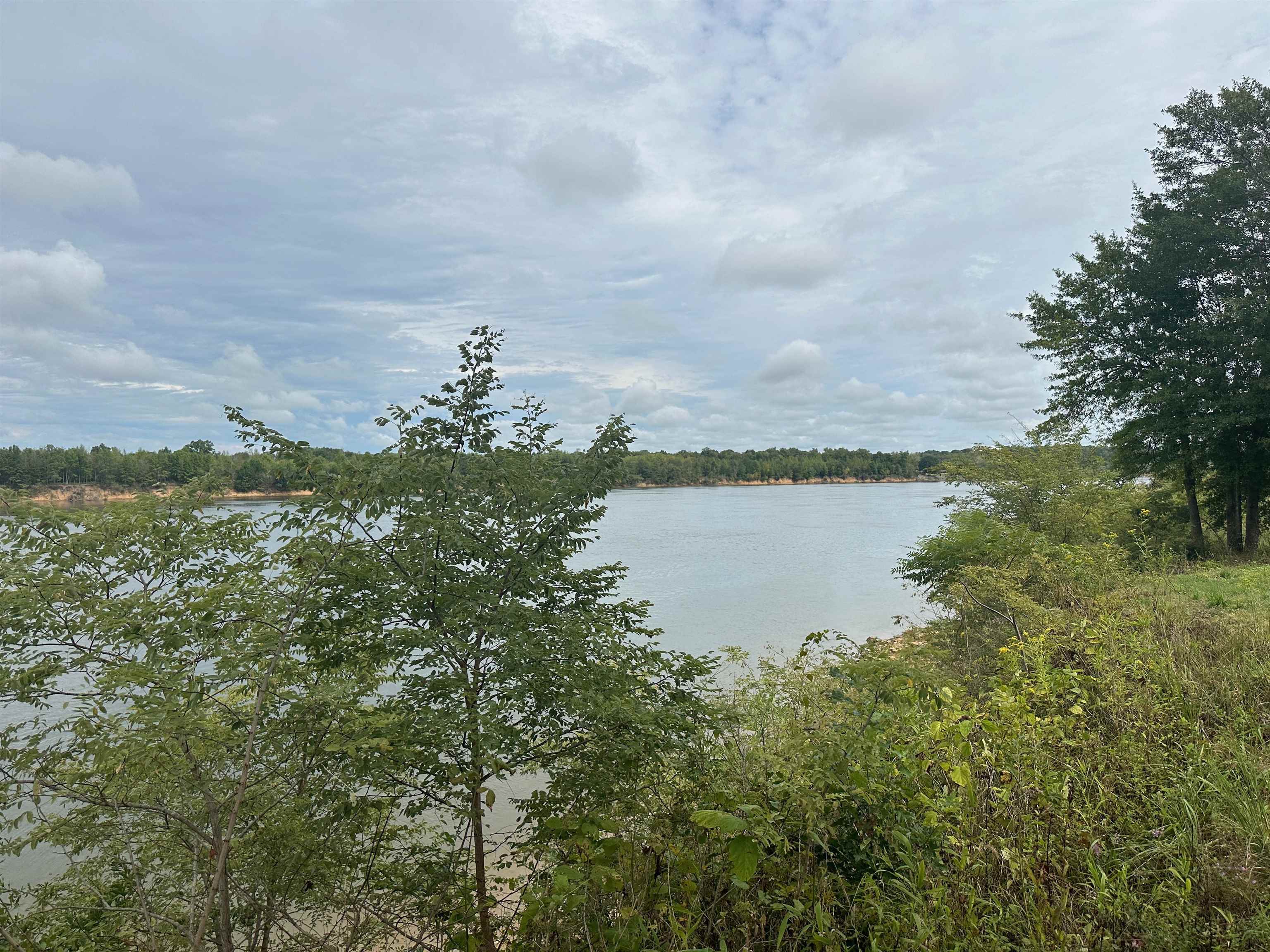 Cravens, Savannah, Tennessee image 1