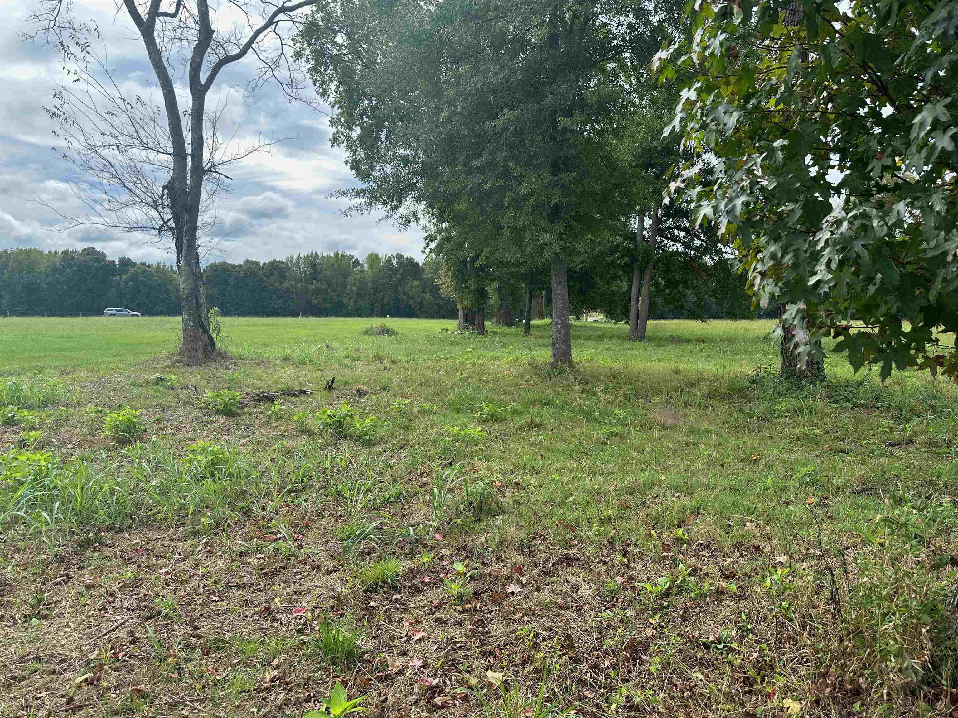 Cravens, Savannah, Tennessee image 12