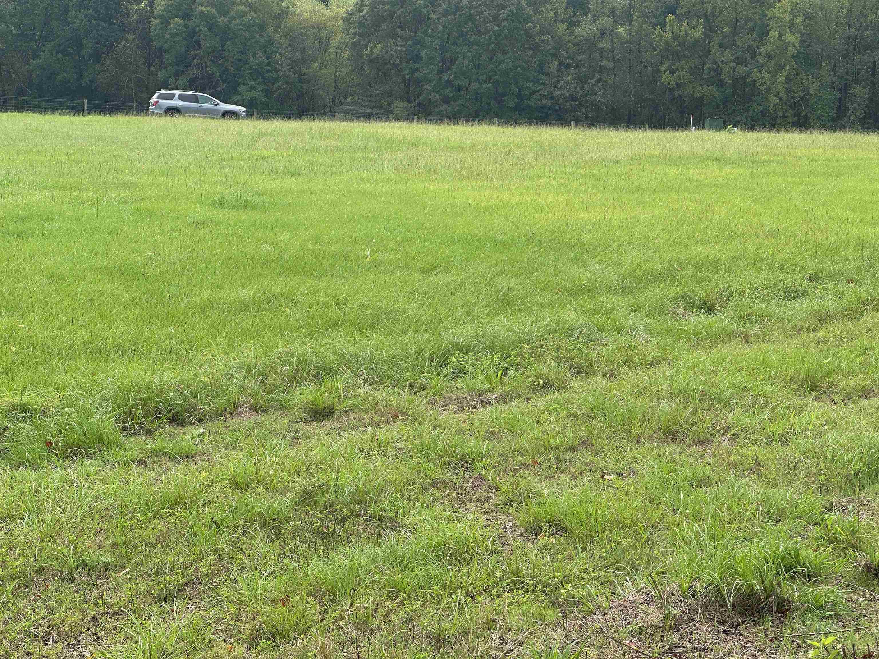 Cravens, Savannah, Tennessee image 14