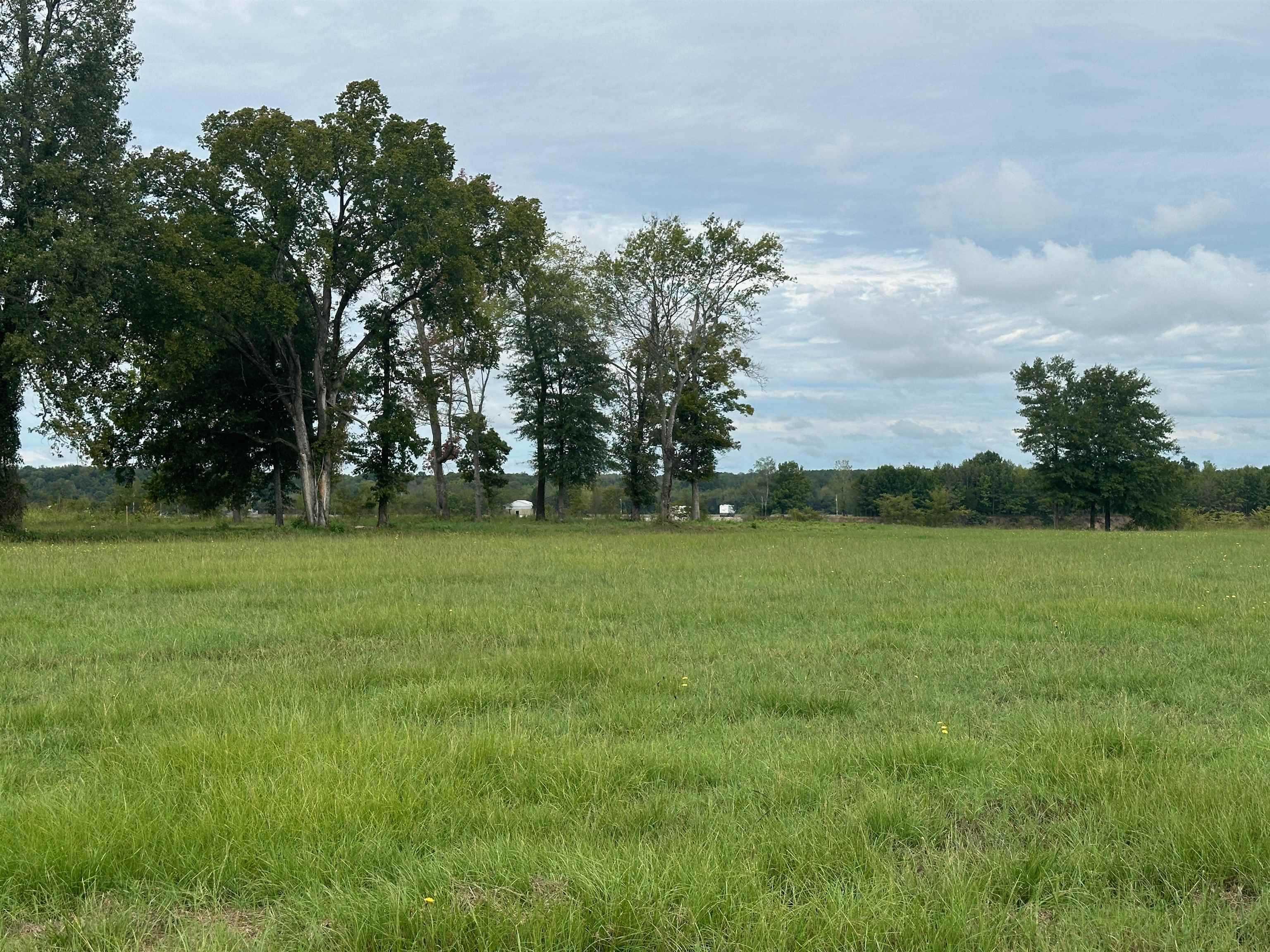 Cravens, Savannah, Tennessee image 15