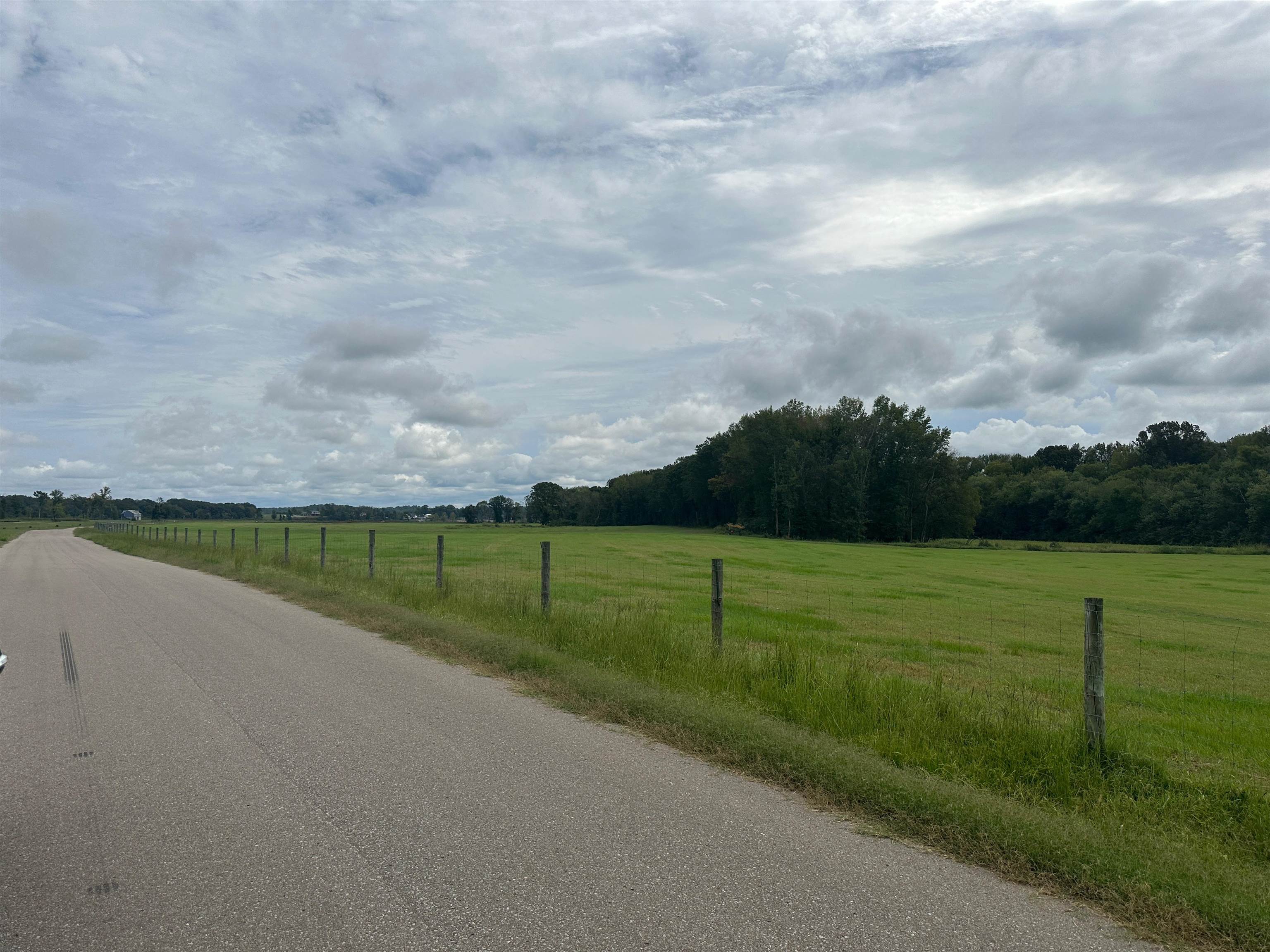 Cravens, Savannah, Tennessee image 17