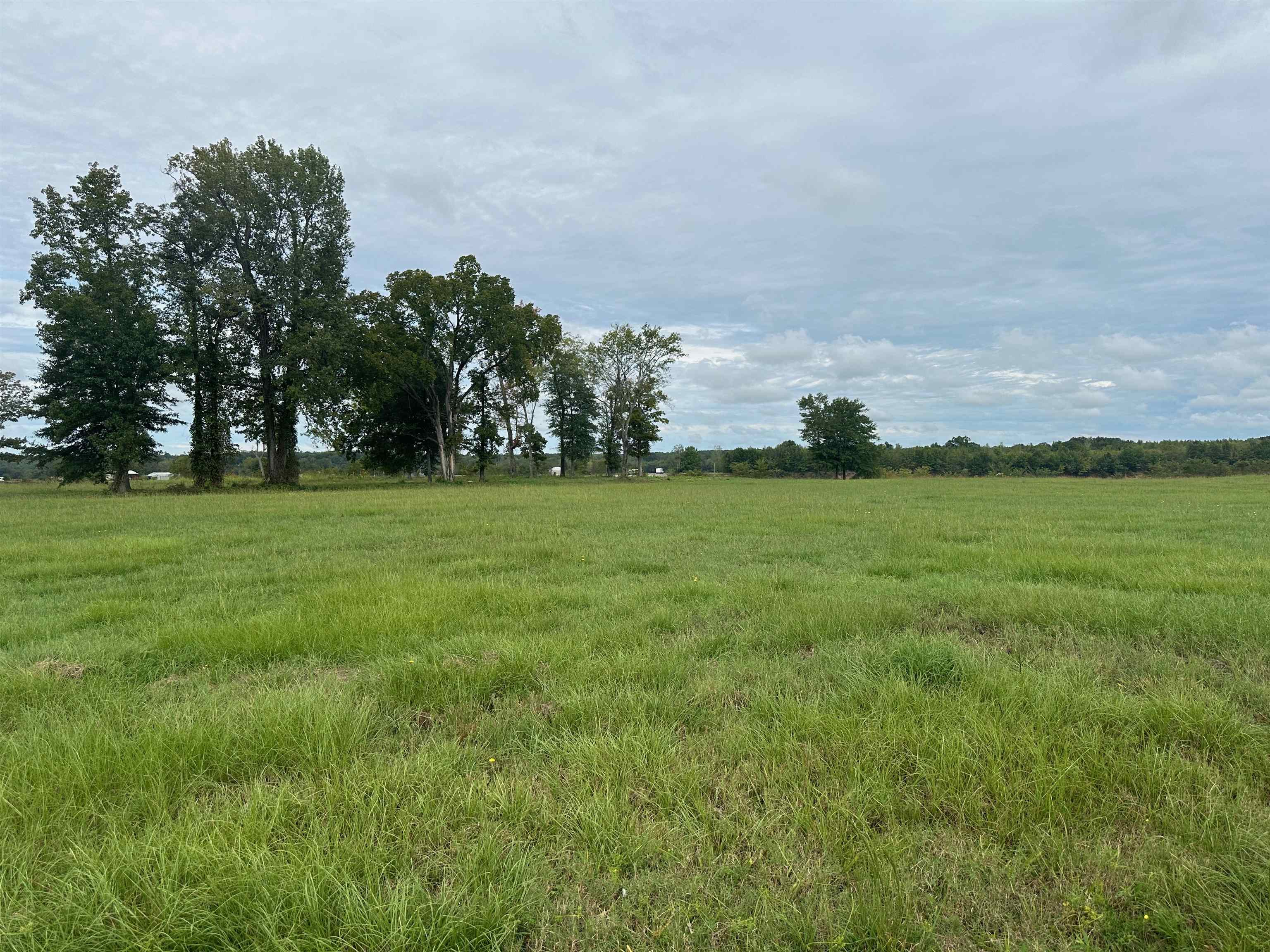 Cravens, Savannah, Tennessee image 18