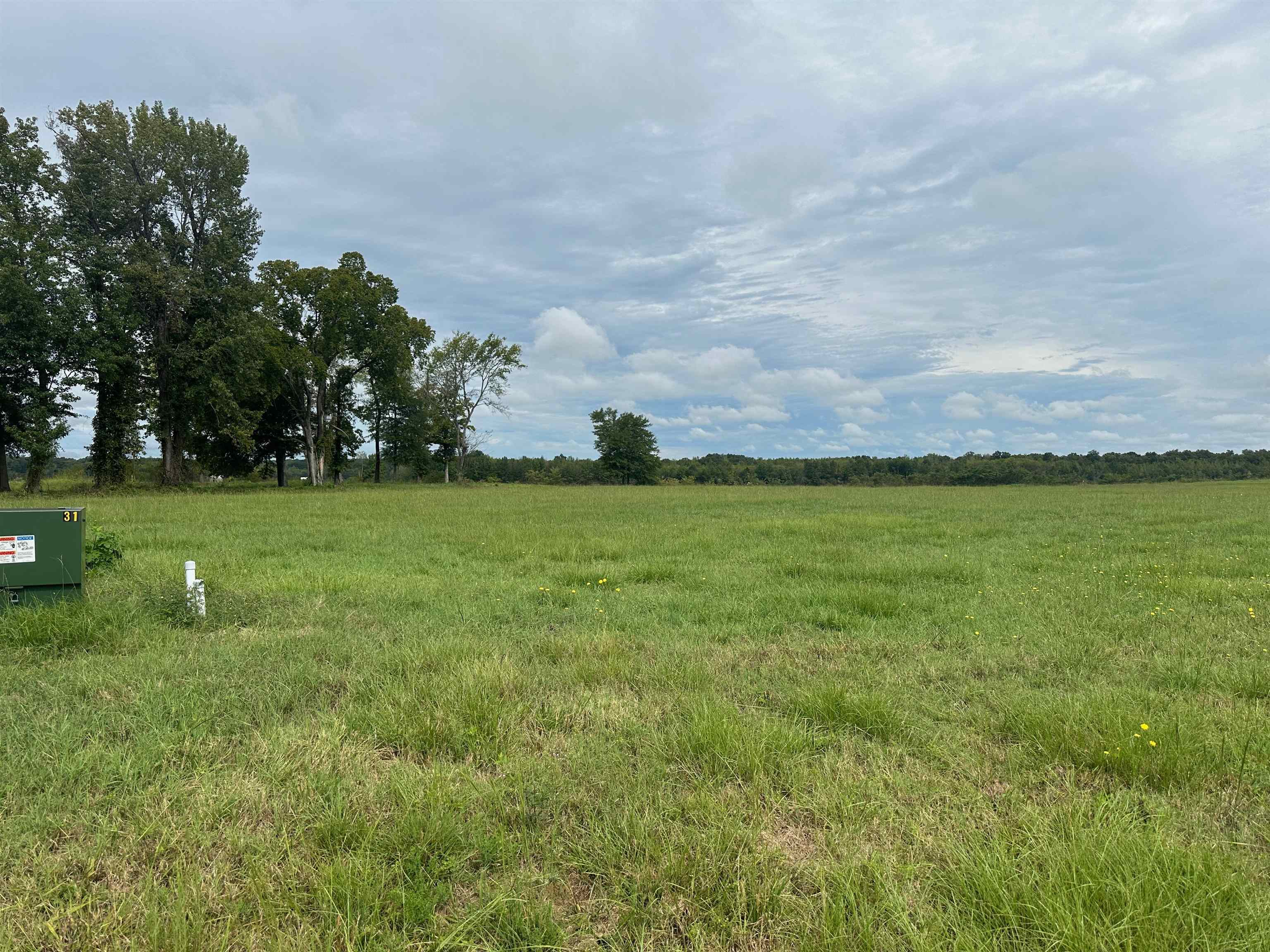 Cravens, Savannah, Tennessee image 6