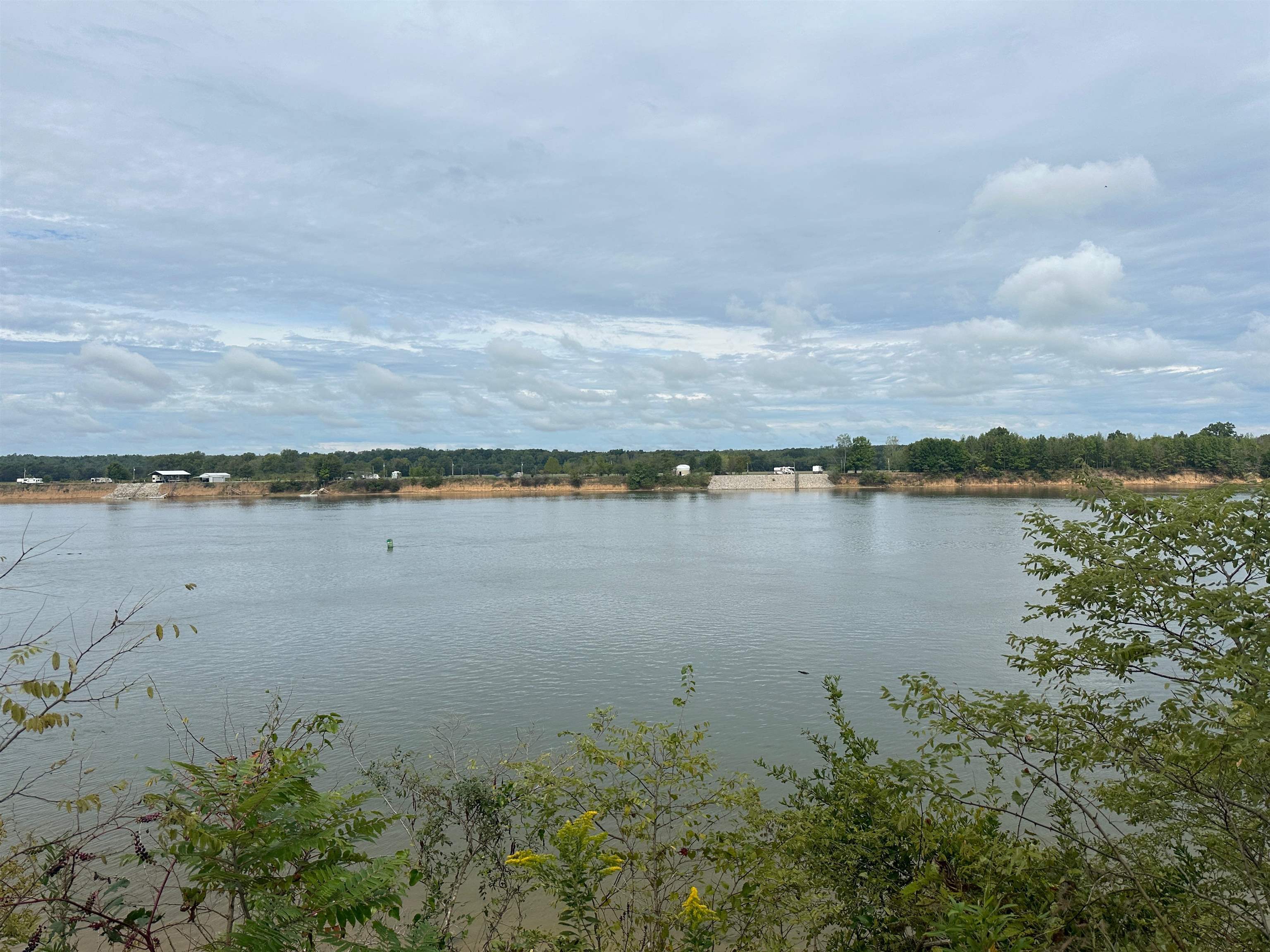 Cravens, Savannah, Tennessee image 8
