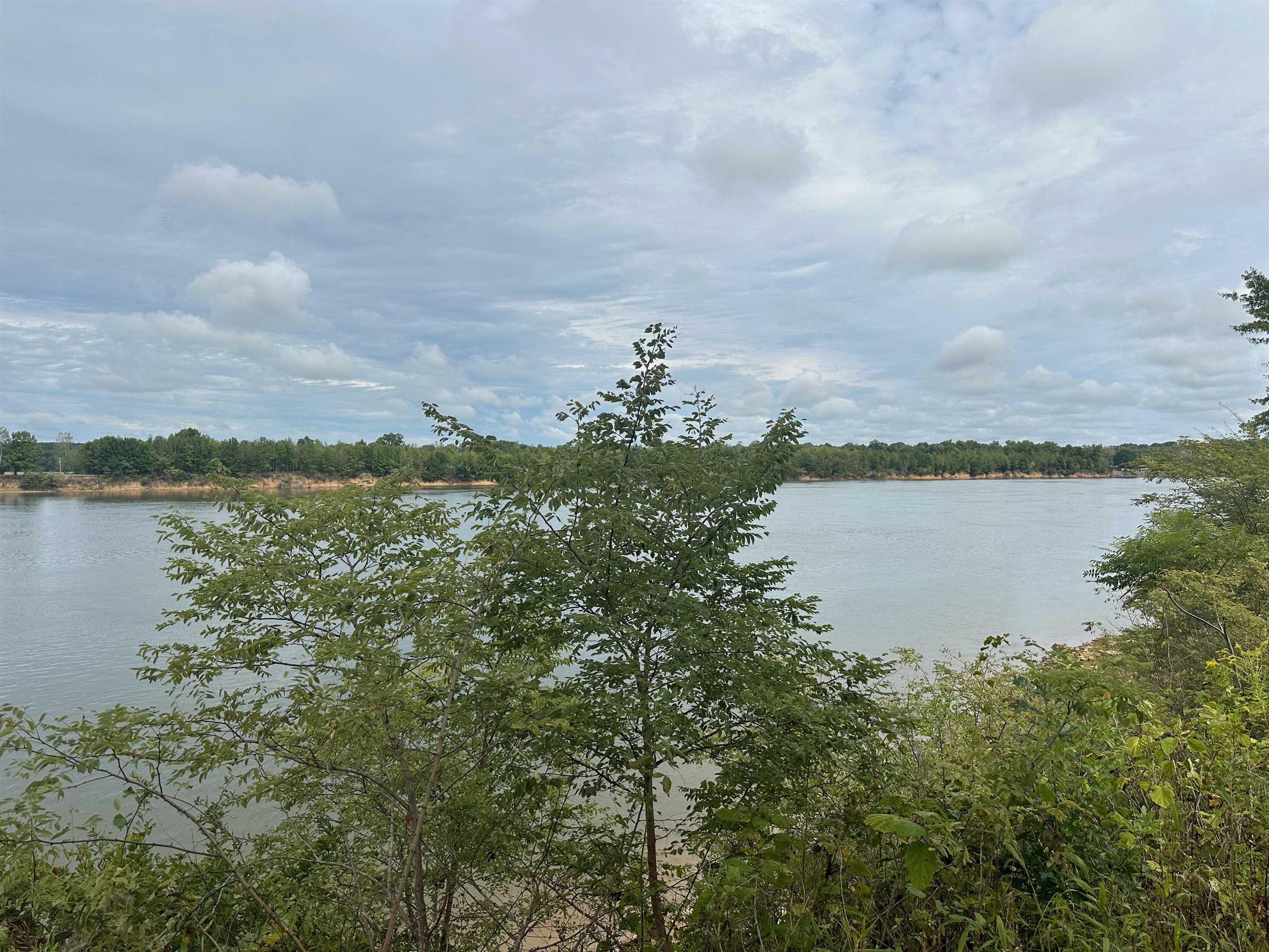 Cravens, Savannah, Tennessee image 9