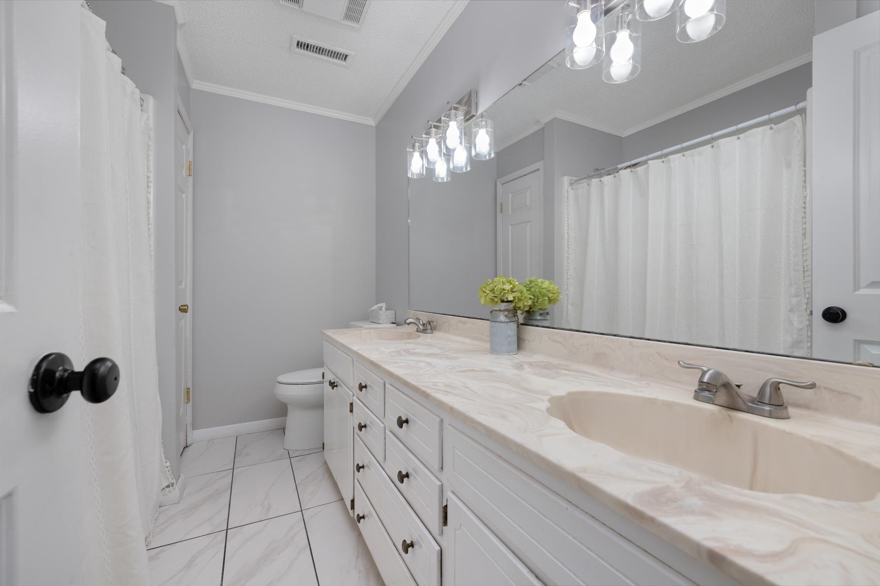 Bathroom with ornamental molding, vanity, and toilet