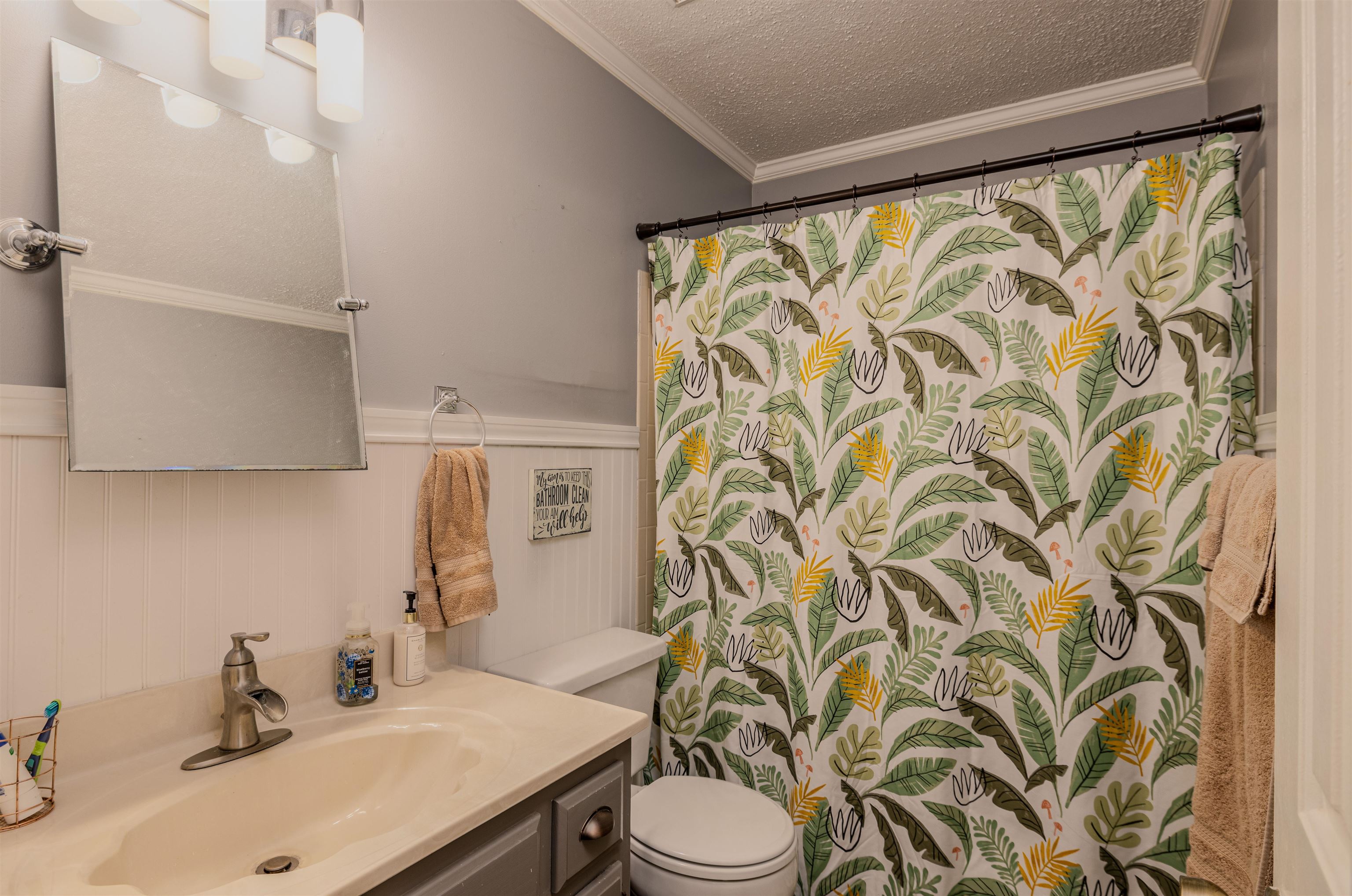 Bathroom featuring ornamental molding, a textured ceiling, vanity, and toilet