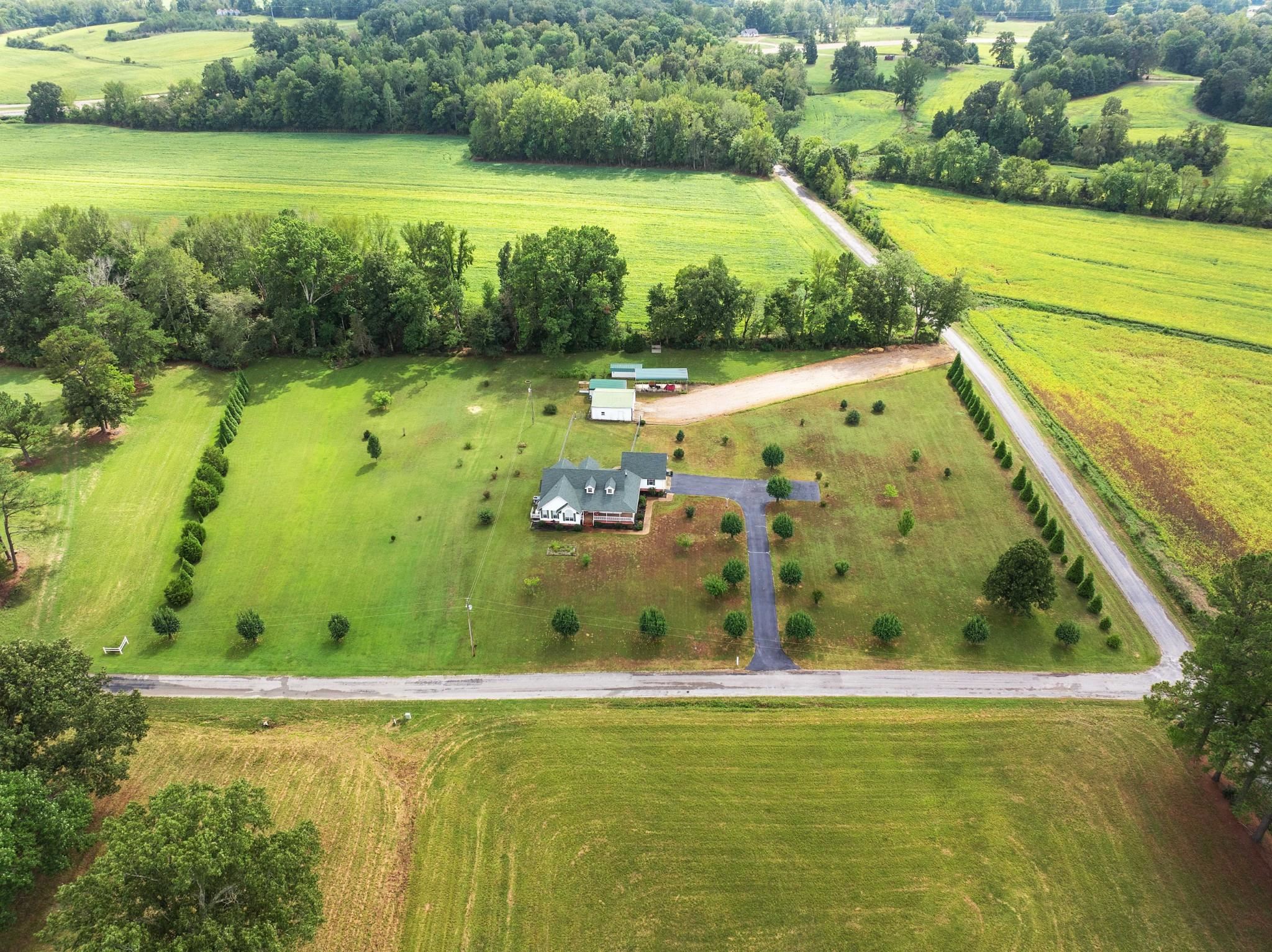 60 Park, Lexington, Tennessee image 8
