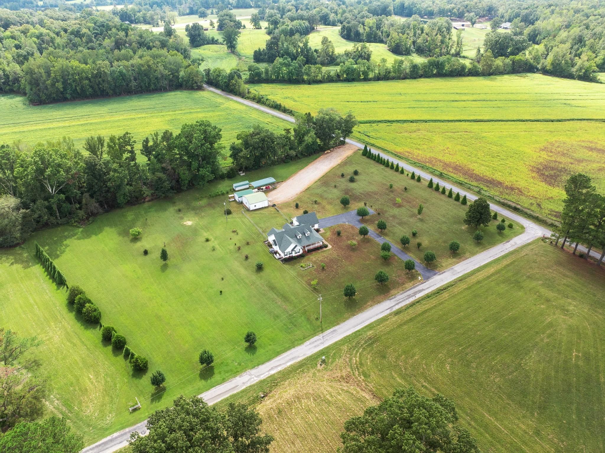 60 Park, Lexington, Tennessee image 9